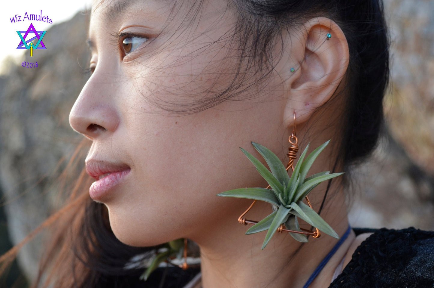 Air Plant Tetrahedron Pyramid Earrings ~ 3D Geometric