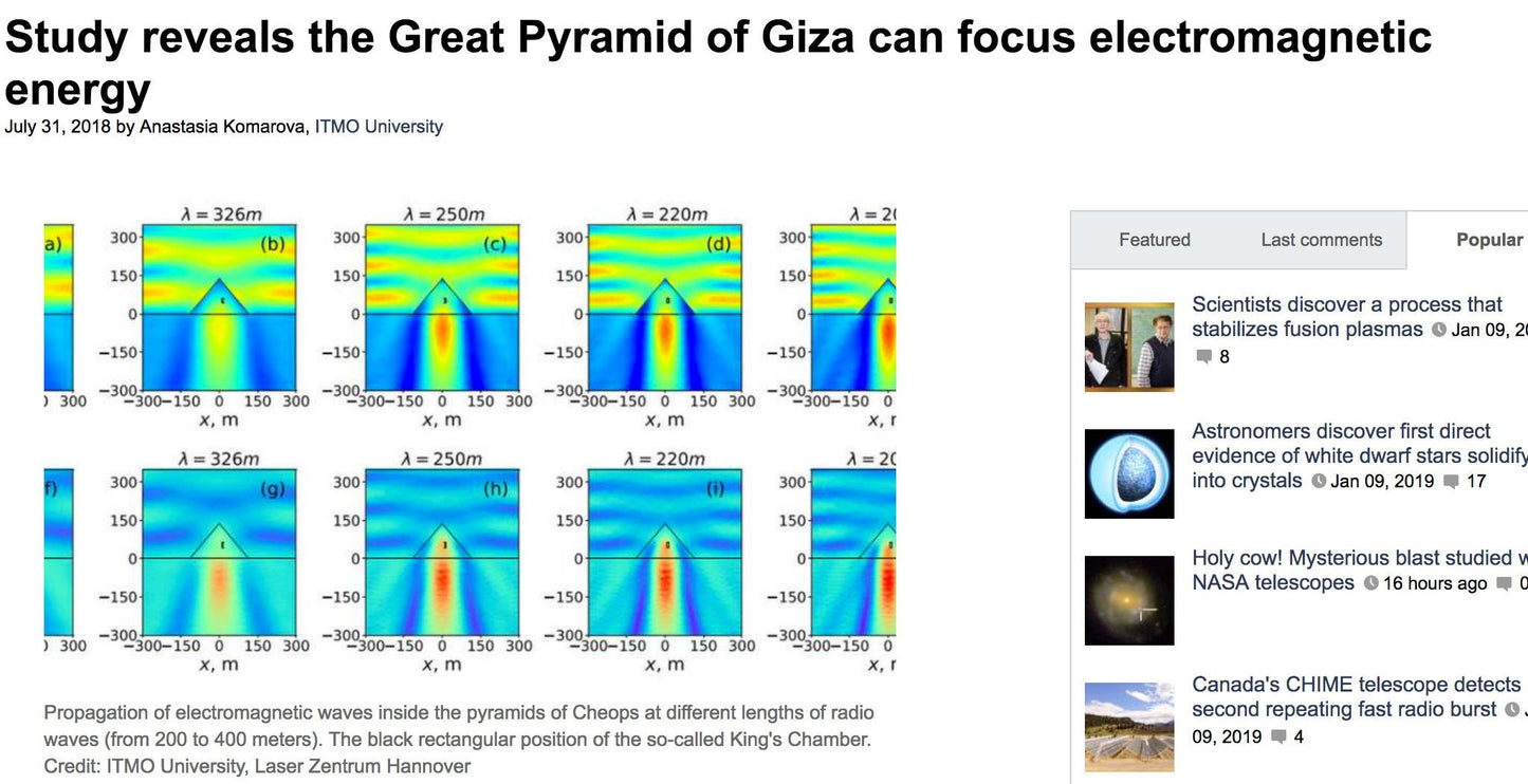 Air Plant Tetrahedron Pyramid Earrings ~ 3D Geometric