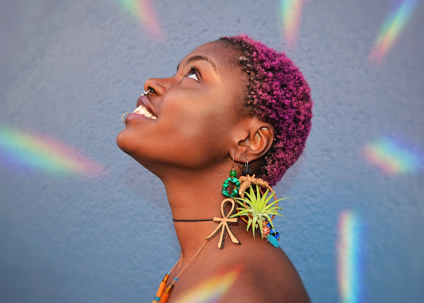 Air Plant Earrings Wood Branch Orb ~ Living Metal-Free Earrings