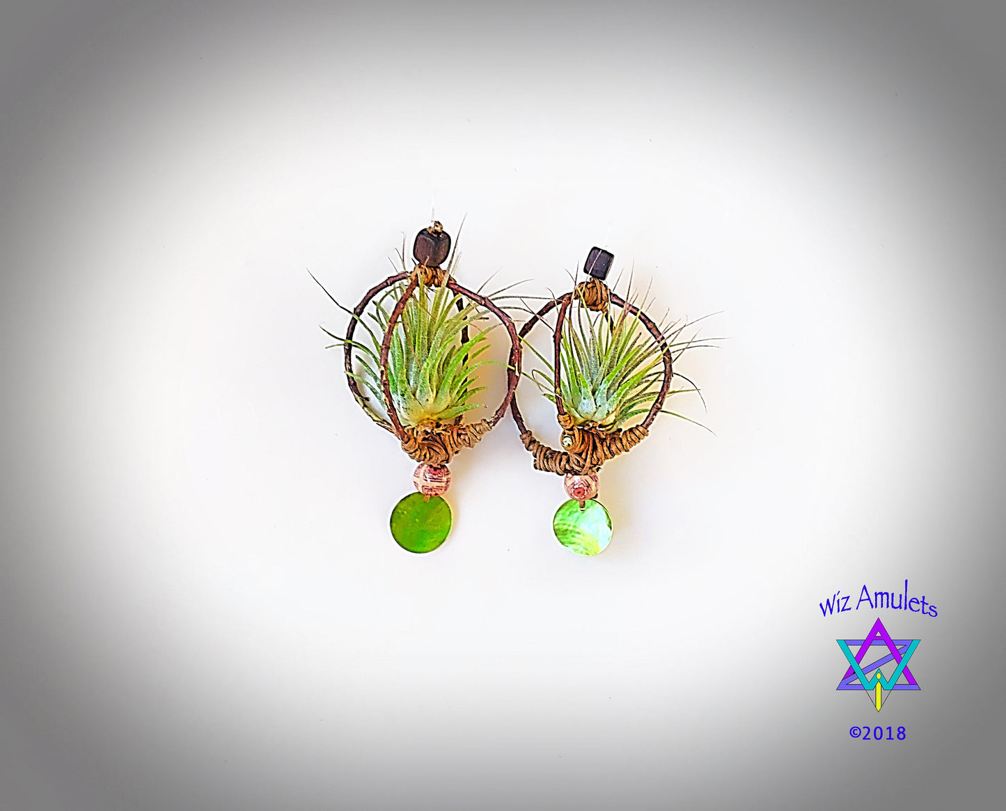 Air Plant Earrings Wood Branch Orb ~ Living Metal-Free Earrings