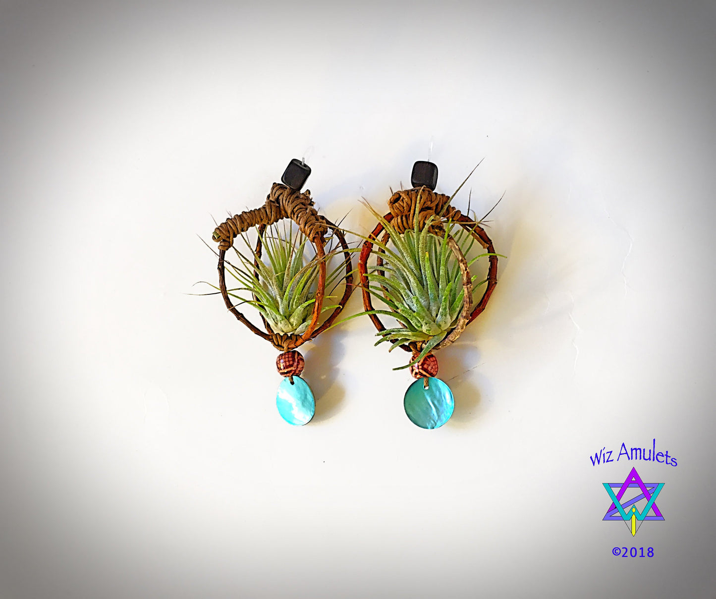 Air Plant Earrings Wood Branch Orb ~ Living Metal-Free Earrings