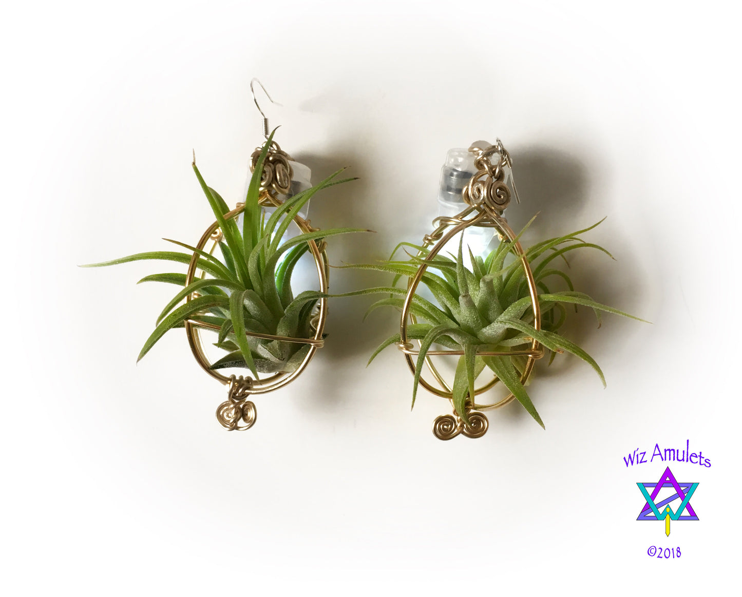 GLOW GROW Air Plant Orb Earrings ~ LED Illuminated