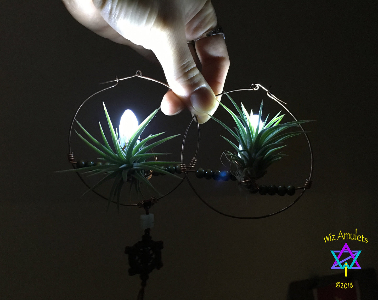 Glow Grow Air Plant Hoop Earrings ~  LED Illuminated