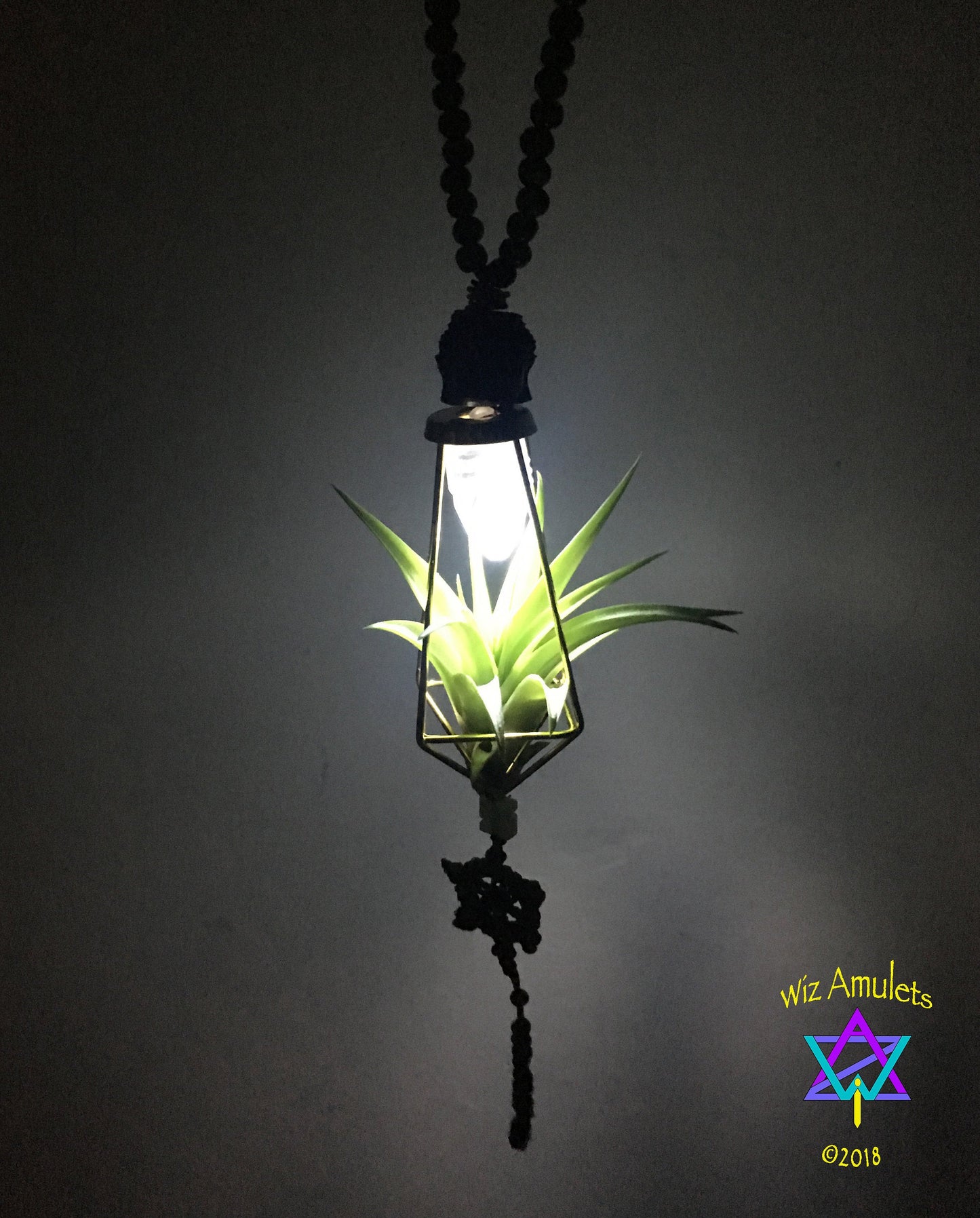 Air Plant Terrarium Necklace (Illuminated) "Glow Grow"