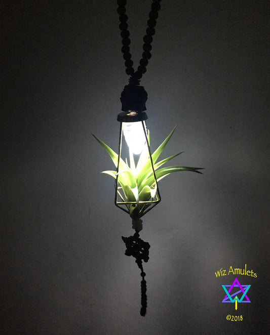Air Plant Terrarium Necklace (Illuminated) "Glow Grow"