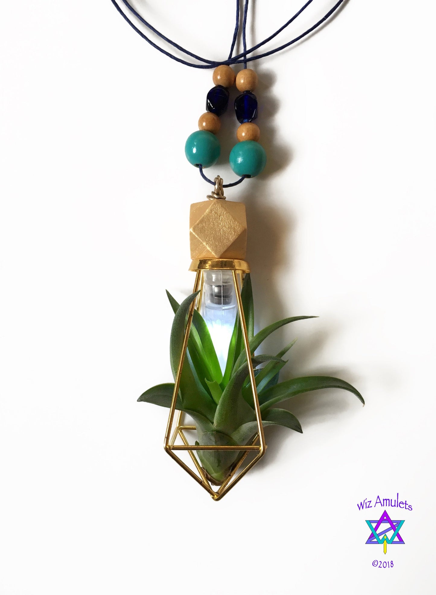 Air Plant Terrarium Necklace (Illuminated) "Glow Grow"