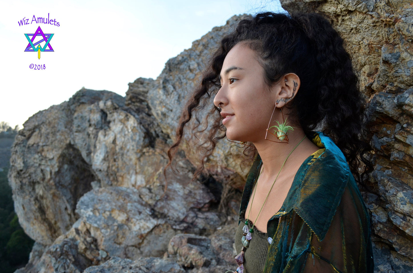 Triangular Air Plant Hoop Earrings ~ Geometric Tillandsia Earrings