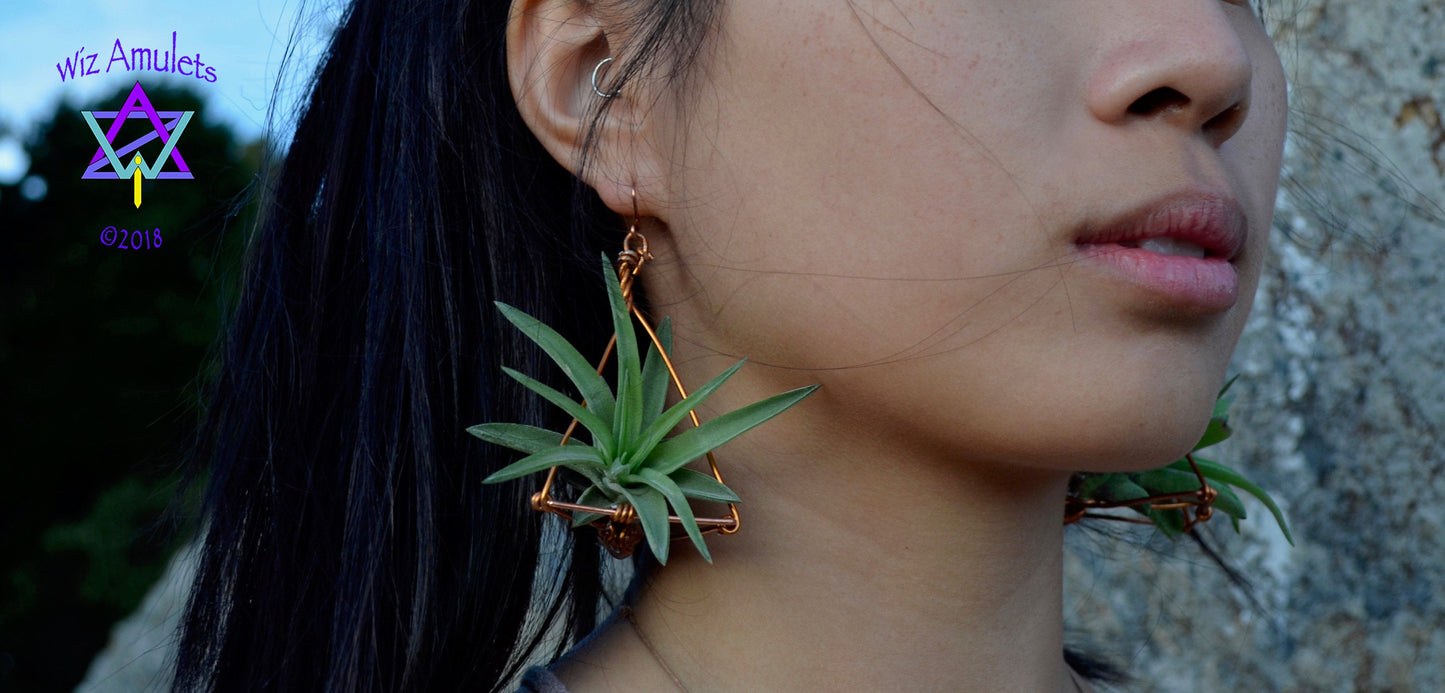Air Plant Tetrahedron Pyramid Earrings ~ 3D Geometric