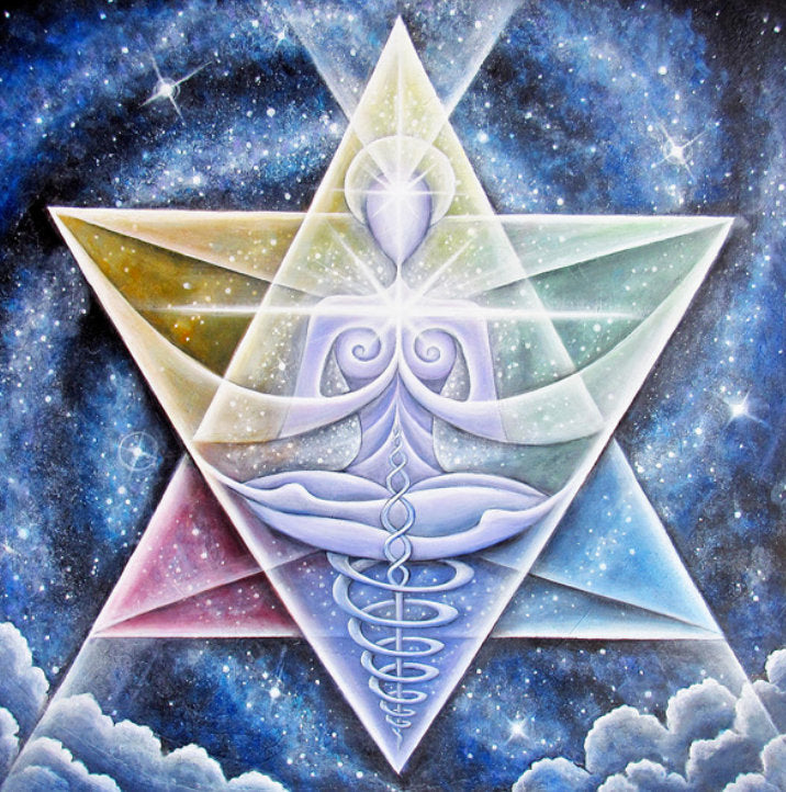 Merkaba Star & Octagon Air Plant Hoop Earrings ~ Geometric Hoops