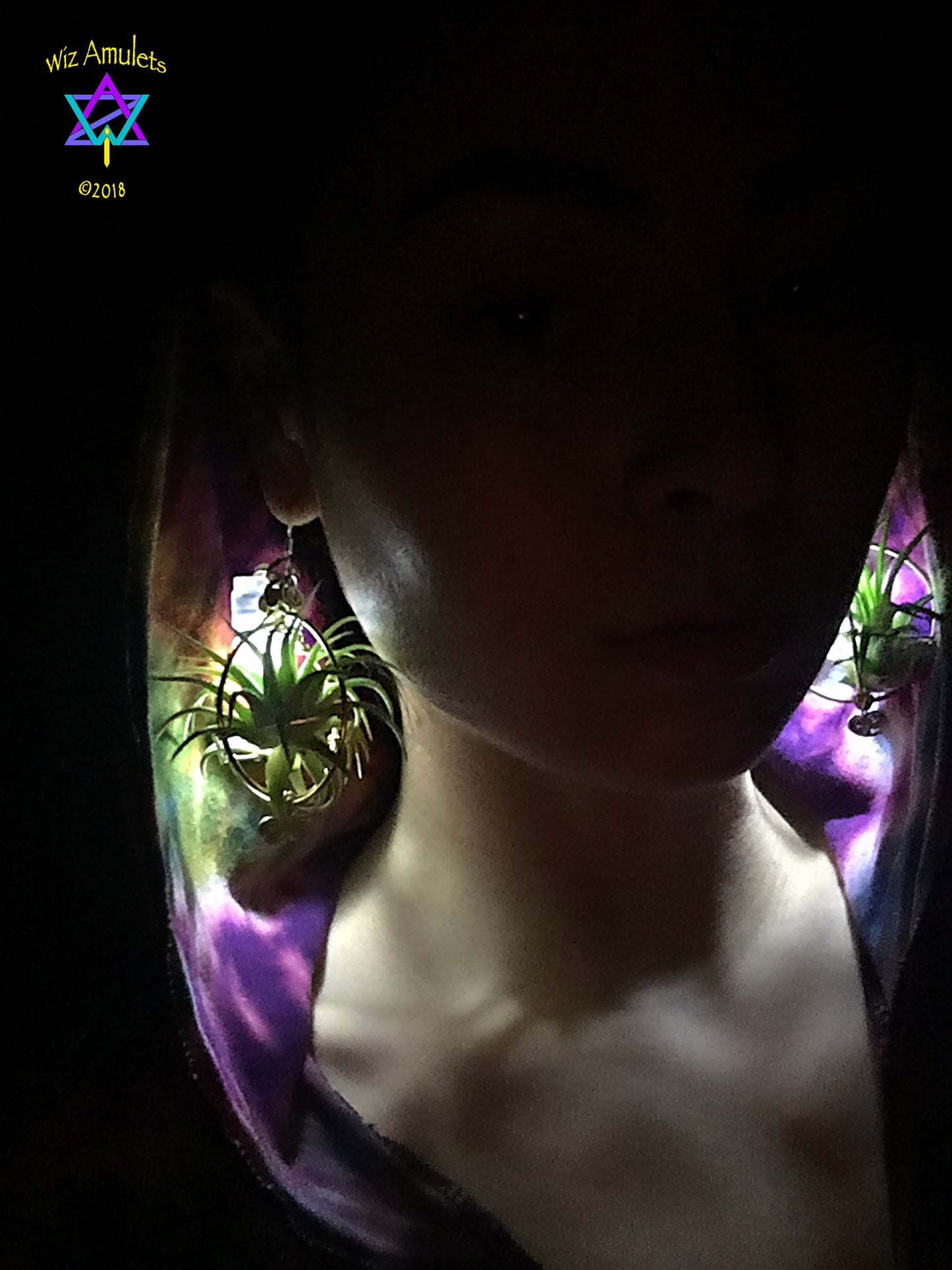 GLOW GROW Air Plant Orb Earrings ~ LED Illuminated