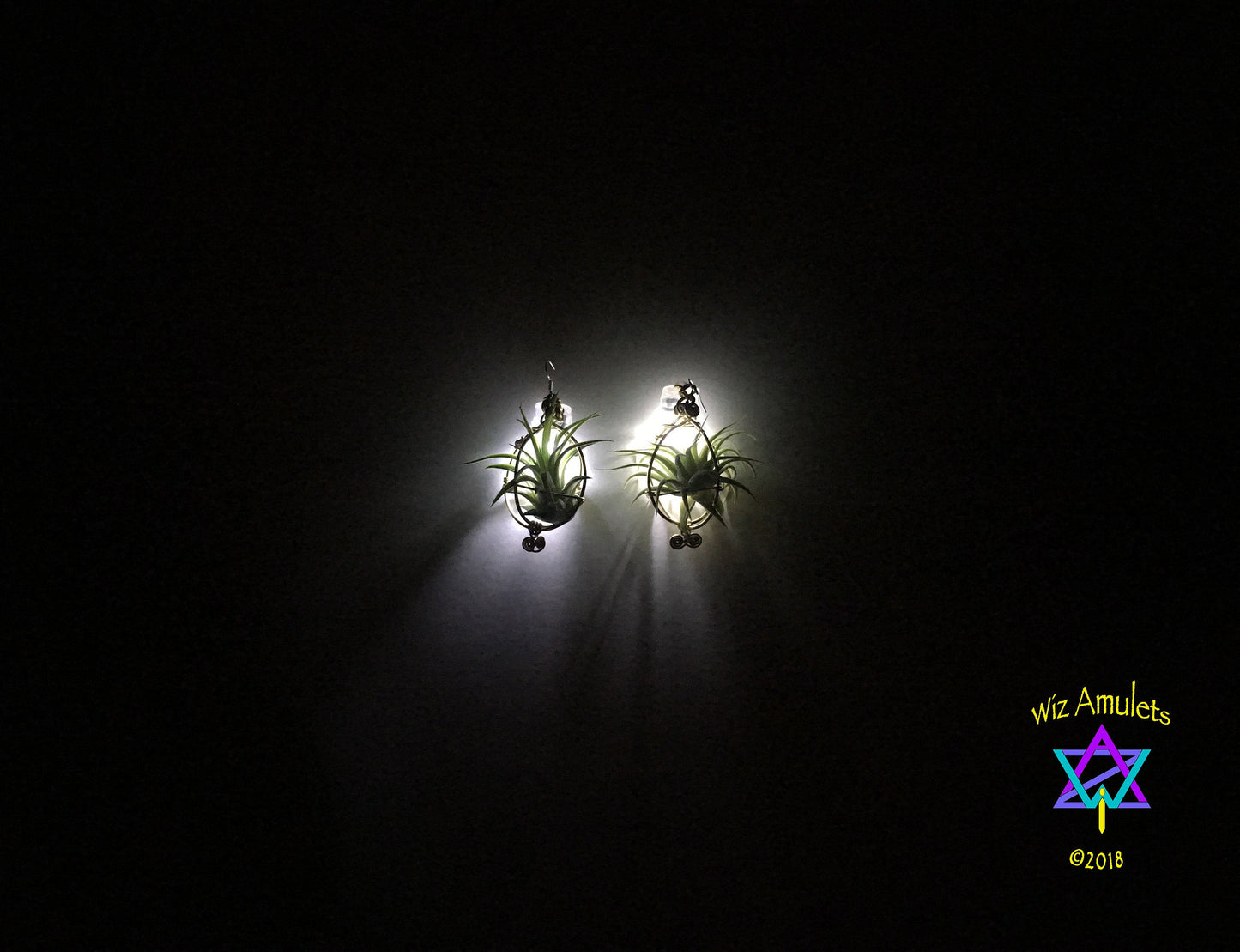 GLOW GROW Air Plant Orb Earrings ~ LED Illuminated