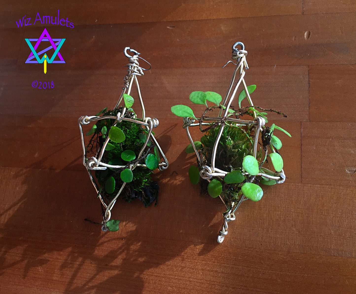 Merkaba Ascension Air Plant Earrings ~ 3D Polyhedron Geometric Earrings