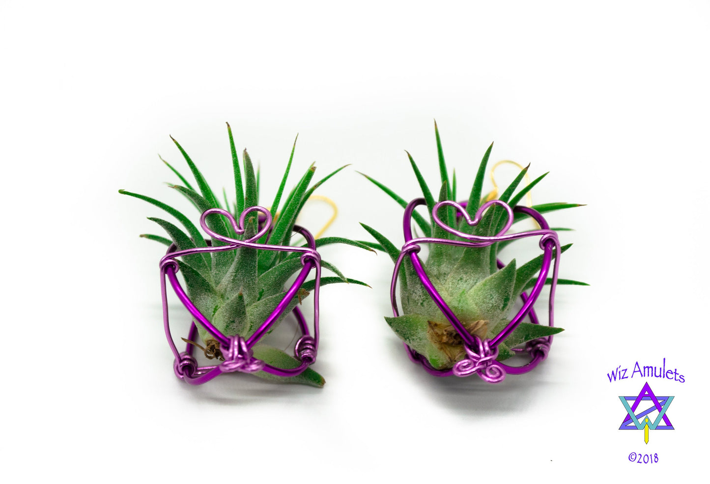 Heart Infinity Air Plant Orb Earrings ~ Heart and Infinity Wire Designs