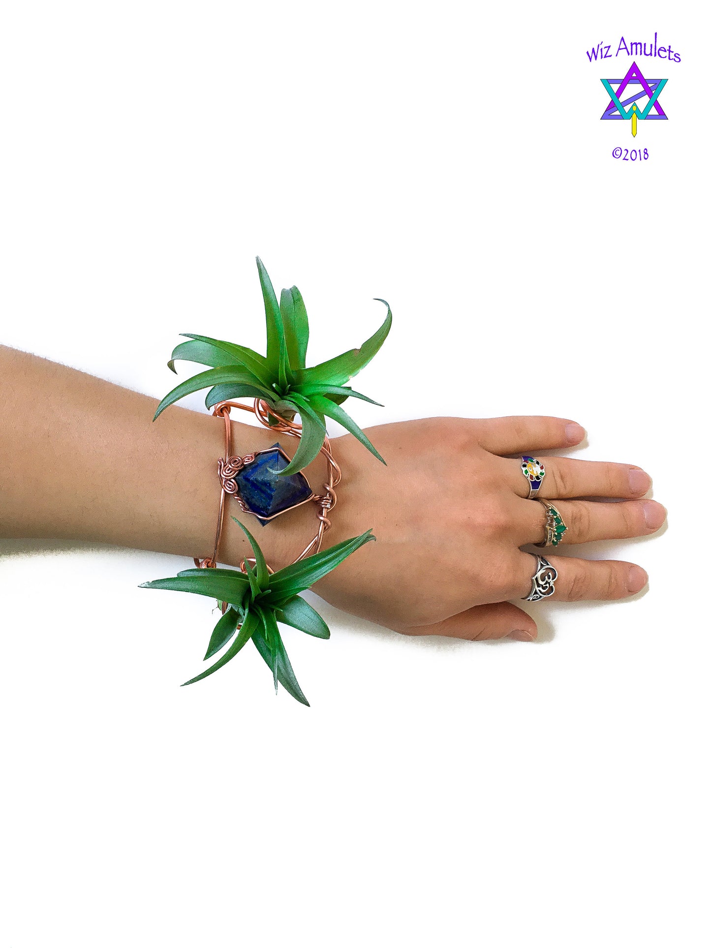 Air Plant Cuff Bracelet ~ Corsage Terrarium ~Anklet + Crystal Pyramid