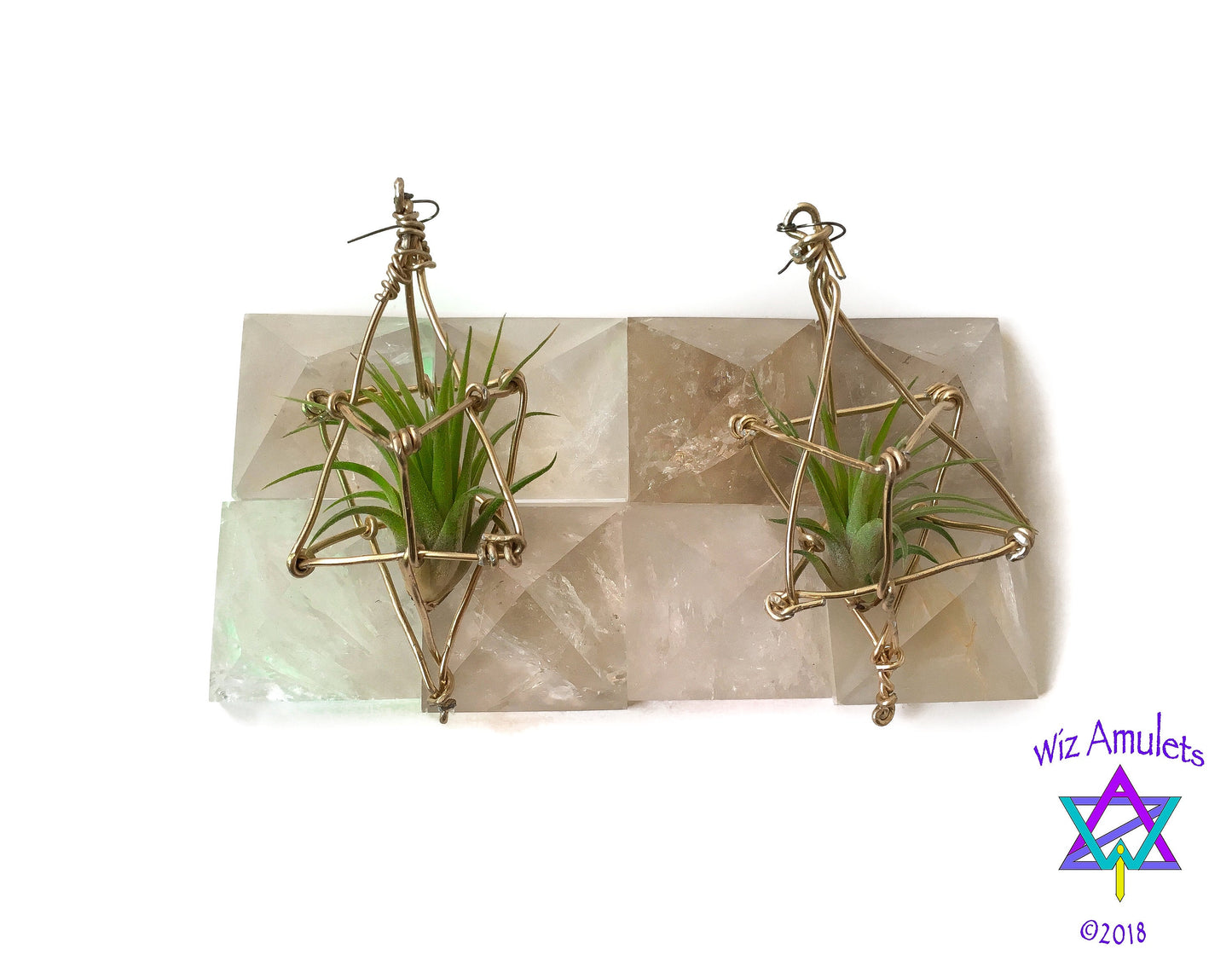 Merkaba Ascension Air Plant Earrings ~ 3D Polyhedron Geometric Earrings