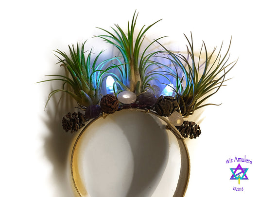 Illuminated Living Air Plant Crown (Glow Grow) Headdress Festival