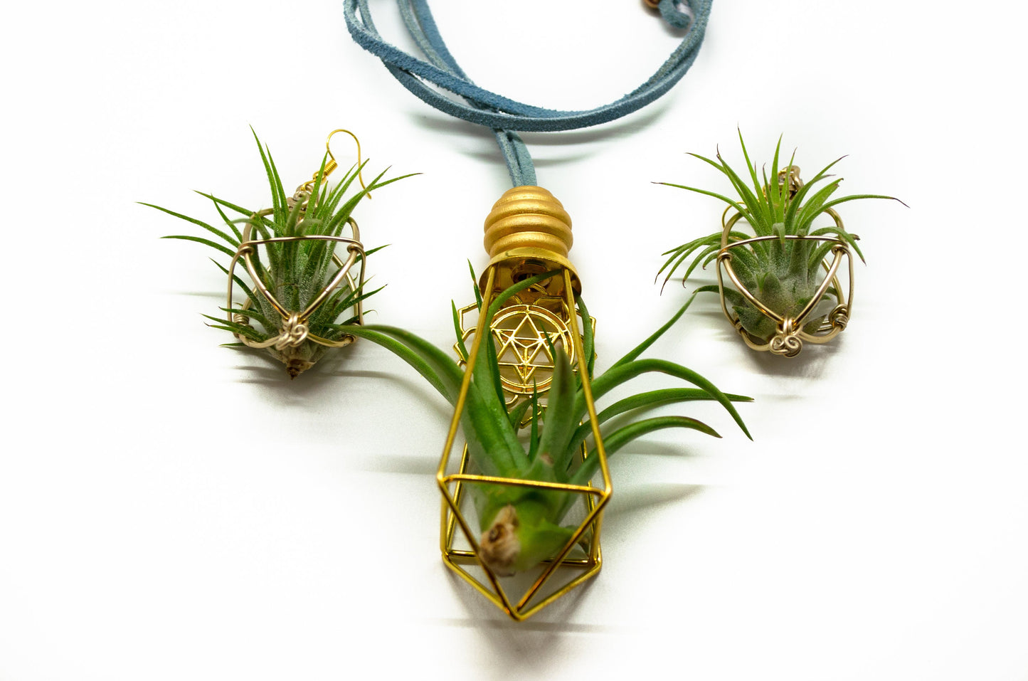 Air Plant Earrings & Necklace Set