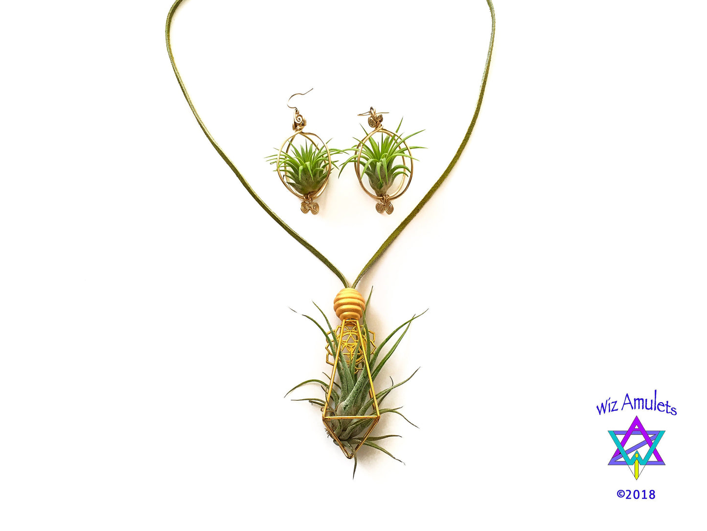 Air Plant Earrings & Necklace Set