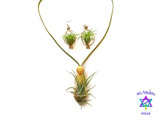 Air Plant Earrings & Necklace Set