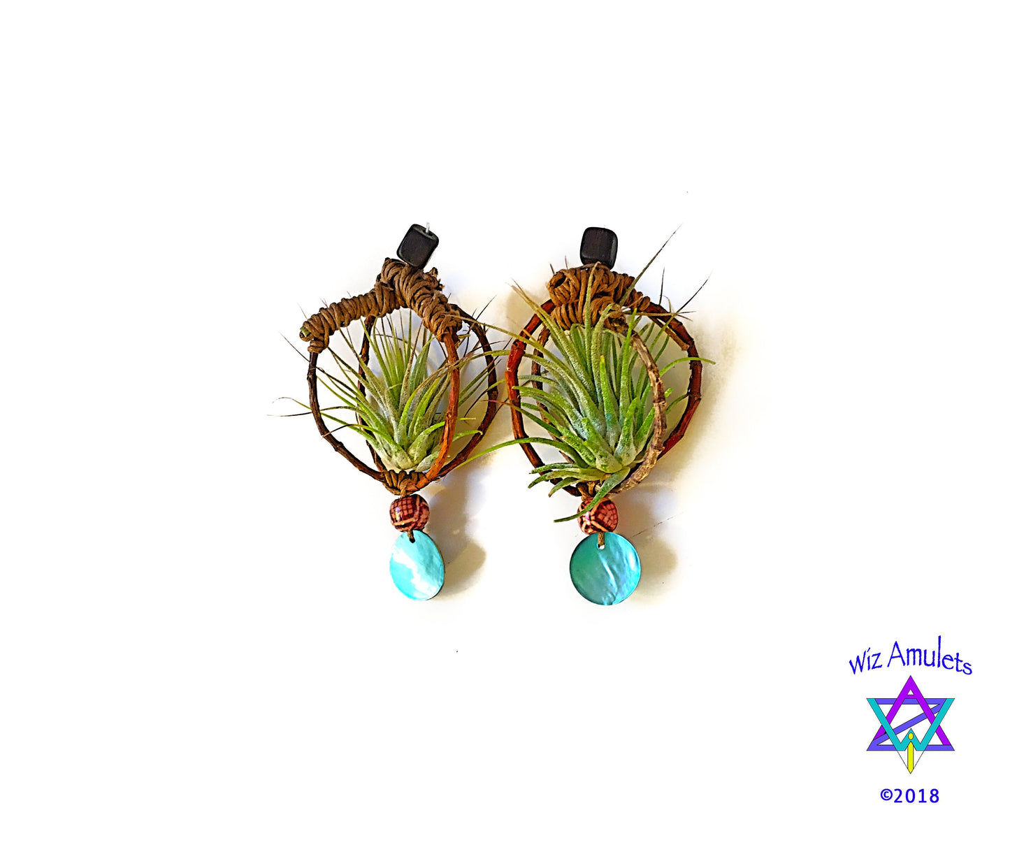 Air Plant Earrings Wood Branch Orb ~ Living Metal-Free Earrings