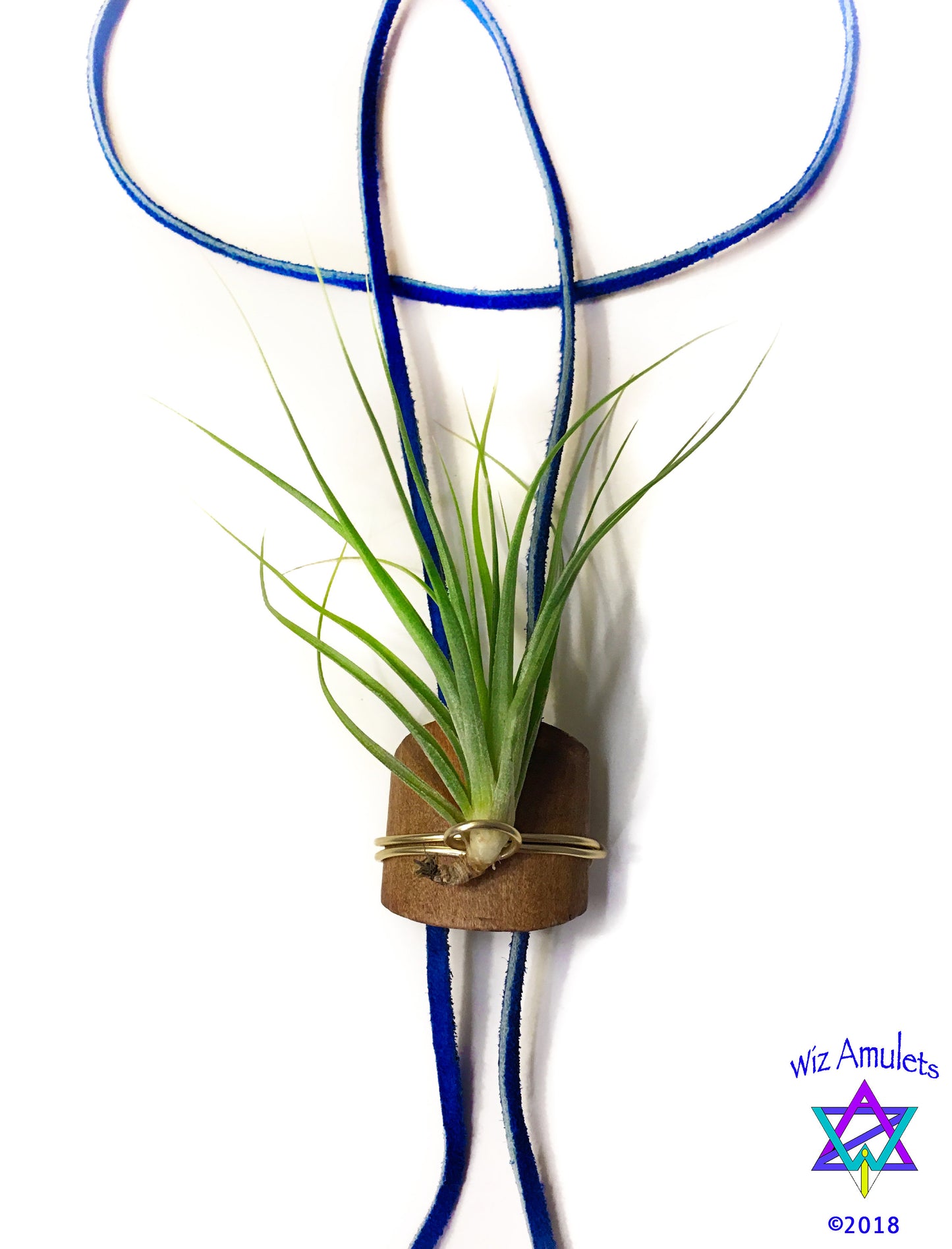 Living Air Plant Bolo Tie + Pinecone Charms