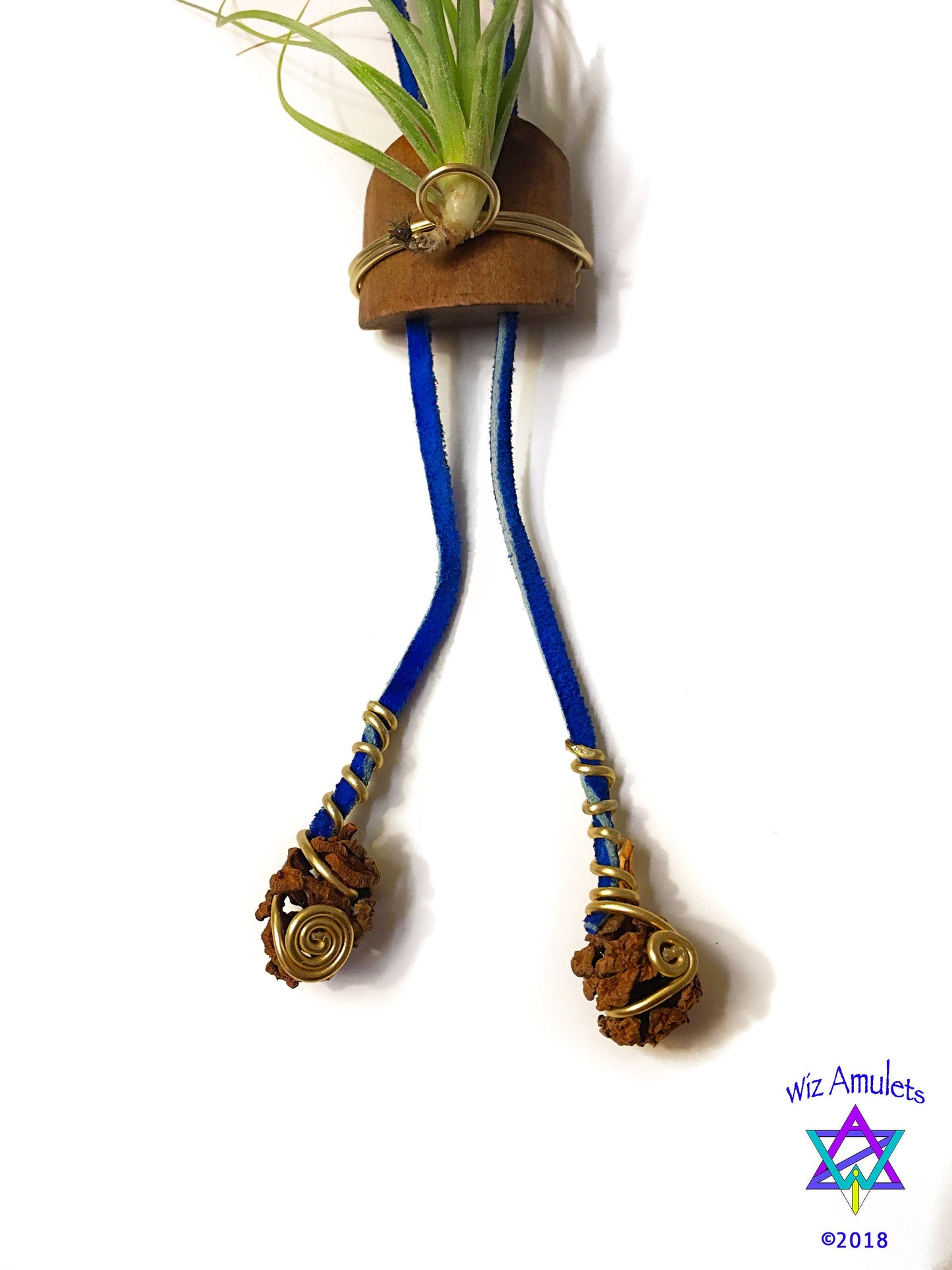 Living Air Plant Bolo Tie + Pinecone Charms