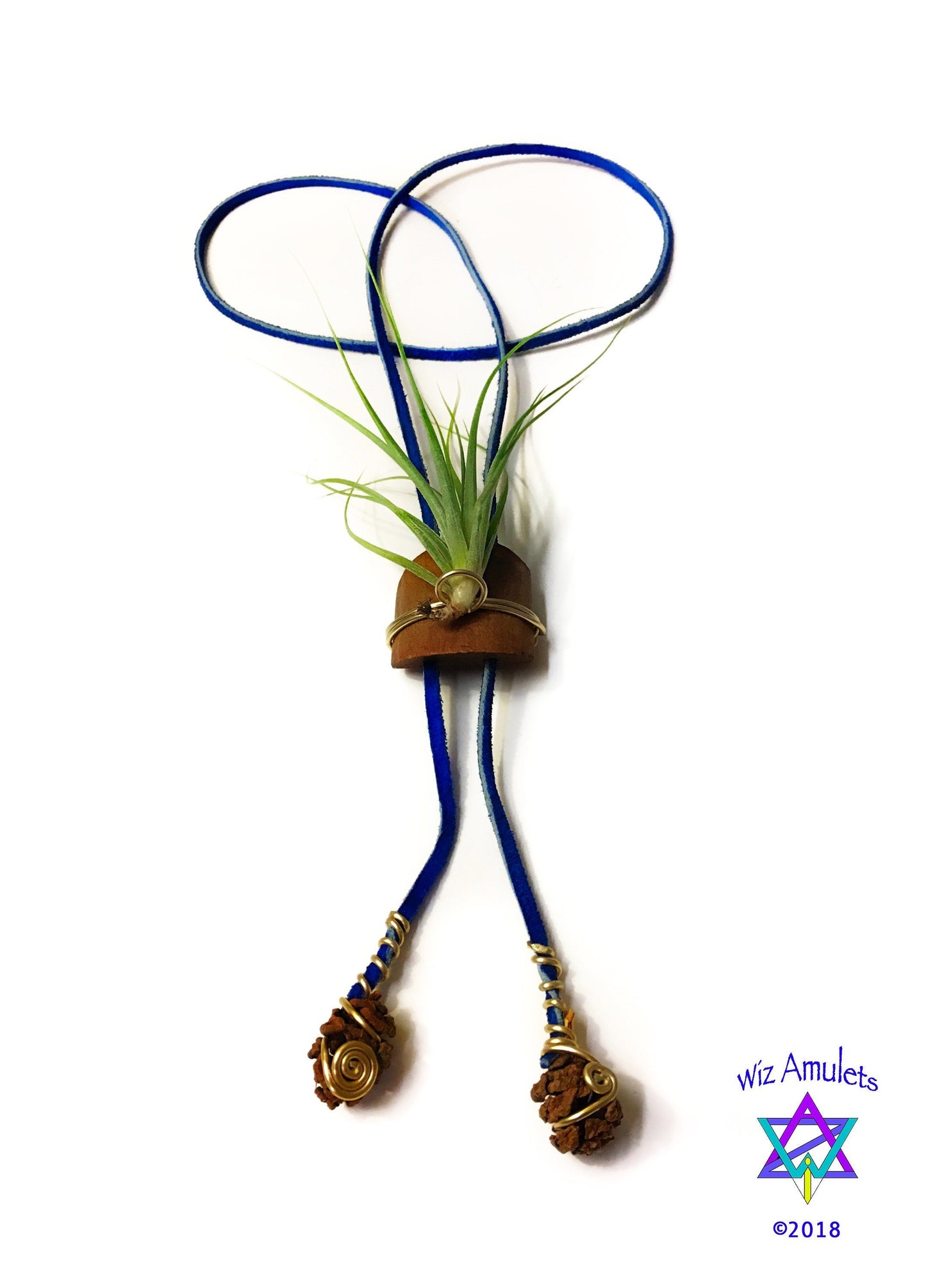 Living Air Plant Bolo Tie + Pinecone Charms