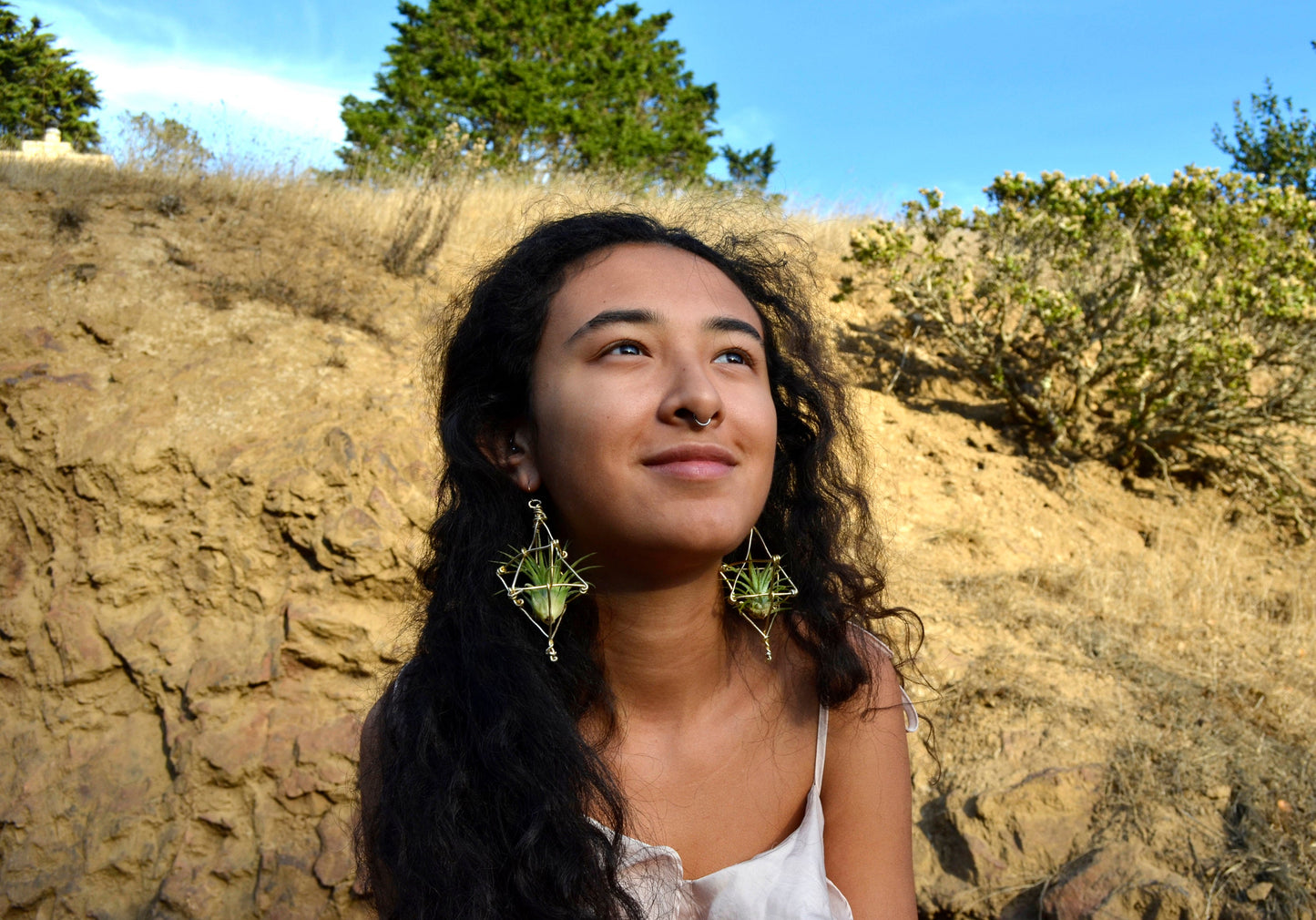 Merkaba Ascension Air Plant Earrings ~ 3D Polyhedron Geometric Earrings