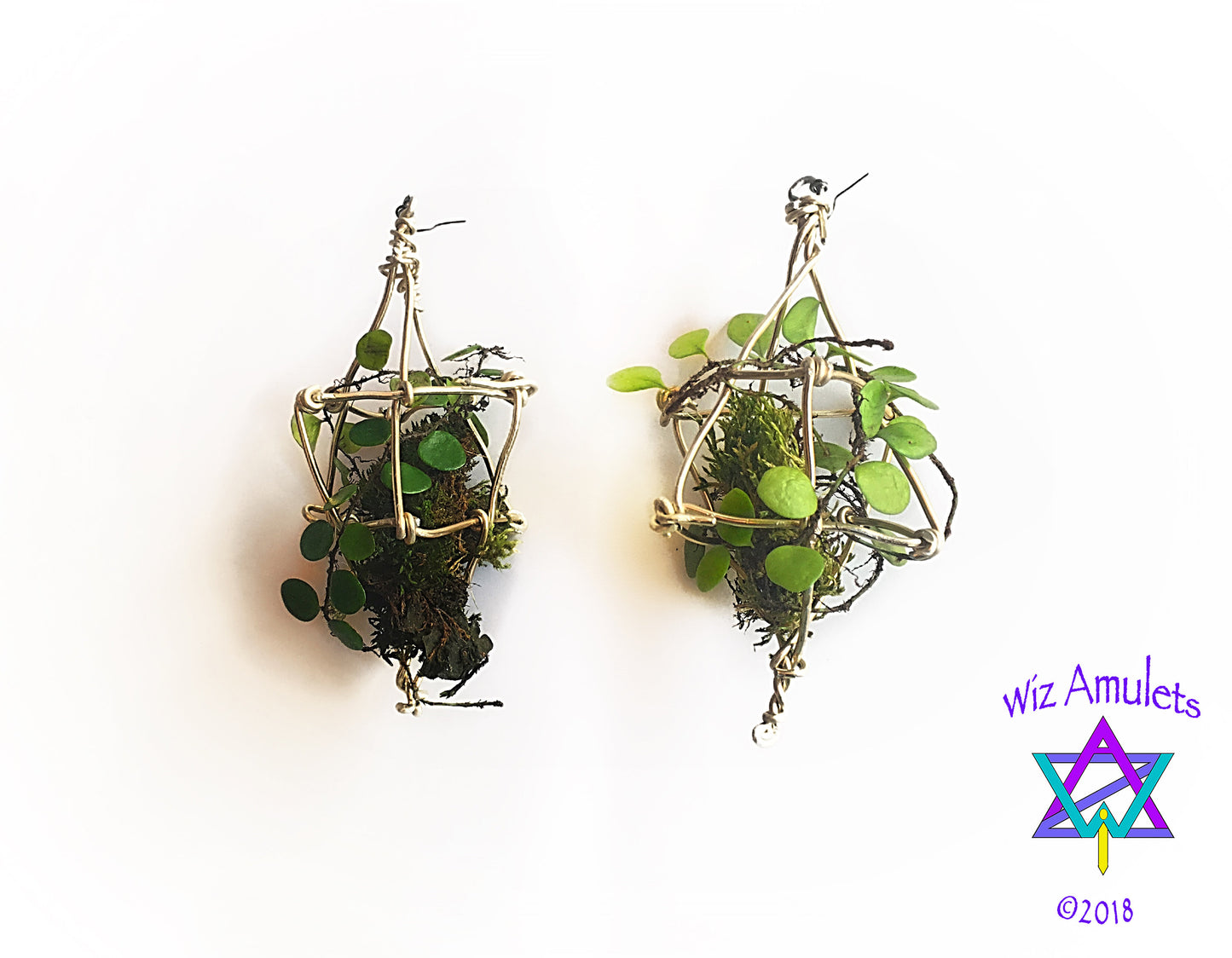 Merkaba Ascension Air Plant Earrings ~ 3D Polyhedron Geometric Earrings