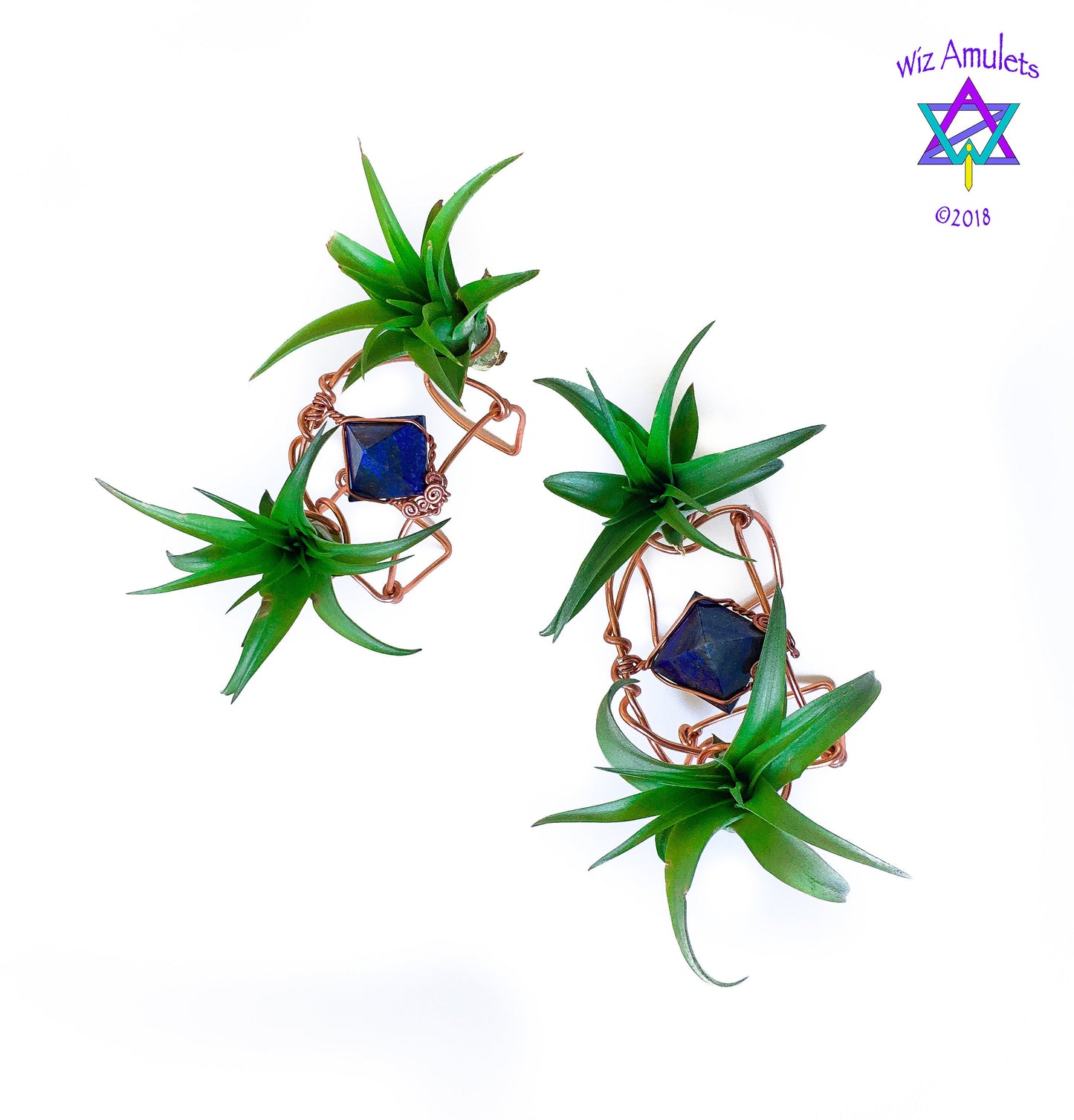 Air Plant Cuff Bracelet ~ Corsage Terrarium ~Anklet + Crystal Pyramid