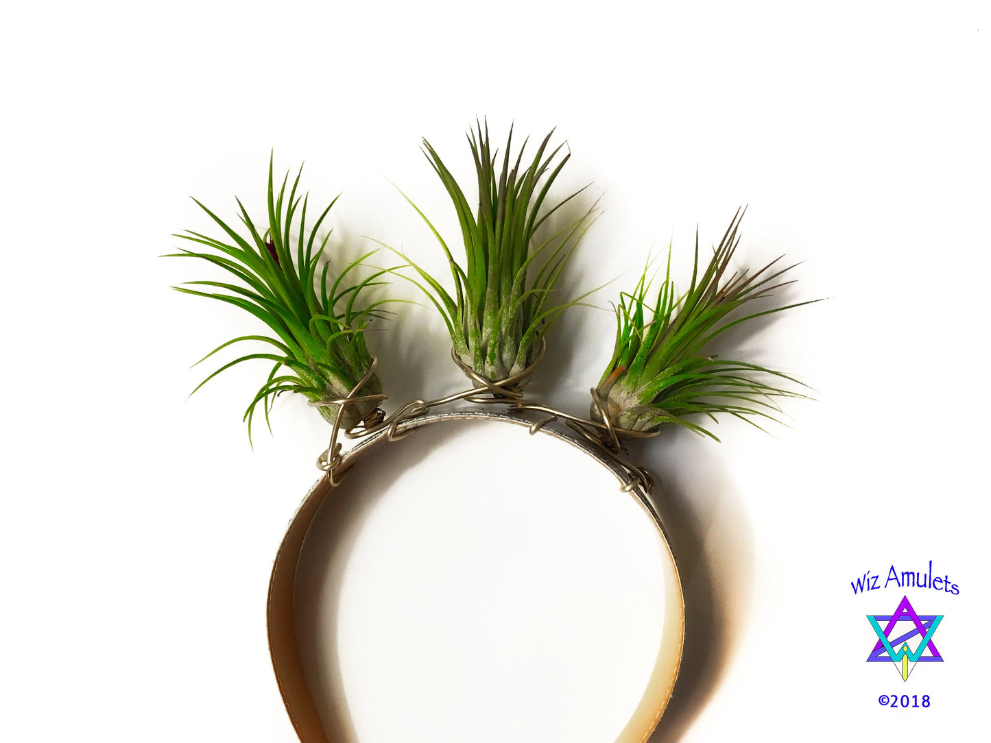 Air Plant Goddess Crown Wreath Headdress