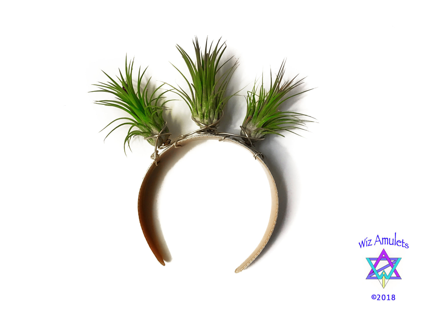 Air Plant Goddess Crown Wreath Headdress
