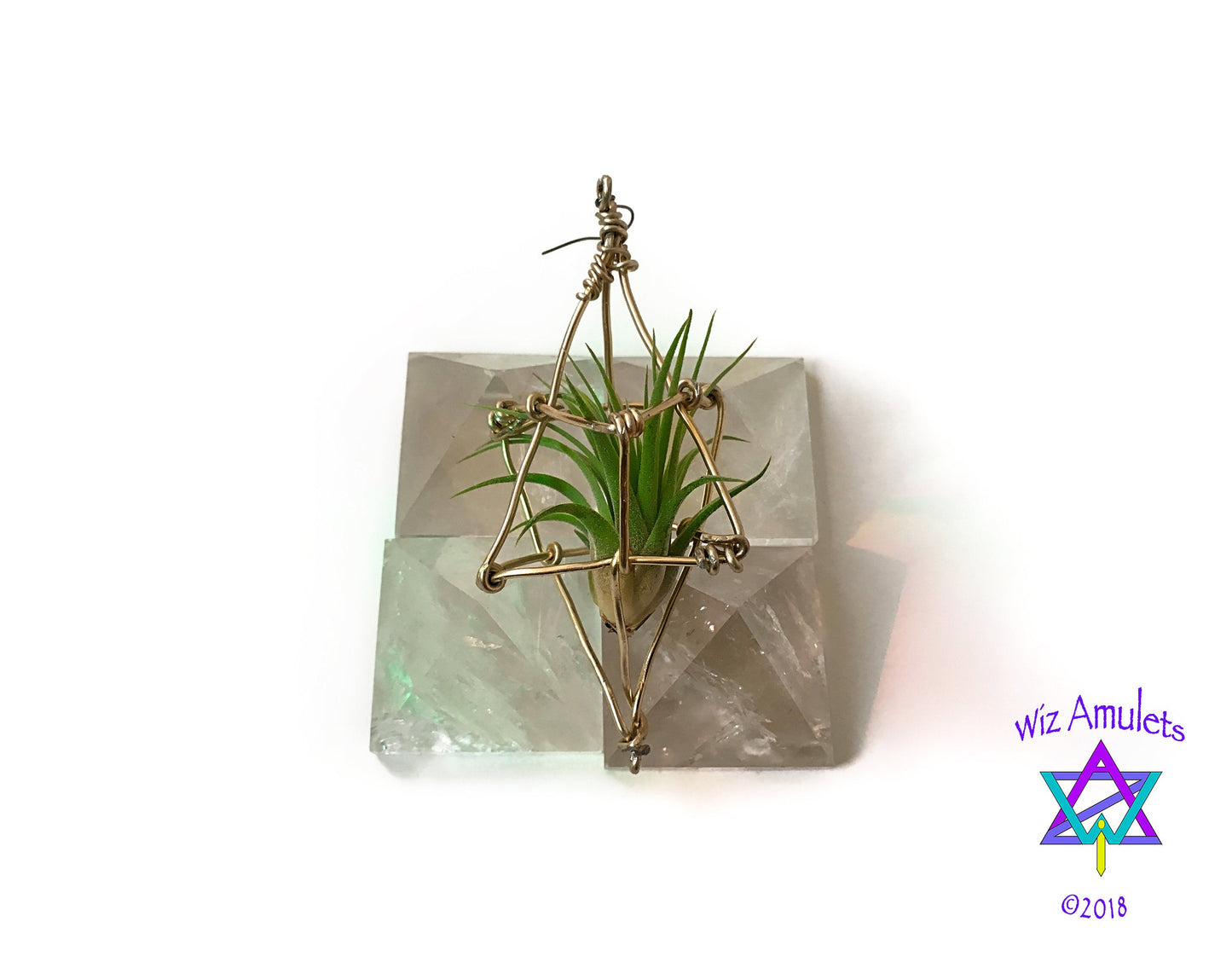 Merkaba Ascension Air Plant Earrings ~ 3D Polyhedron Geometric Earrings