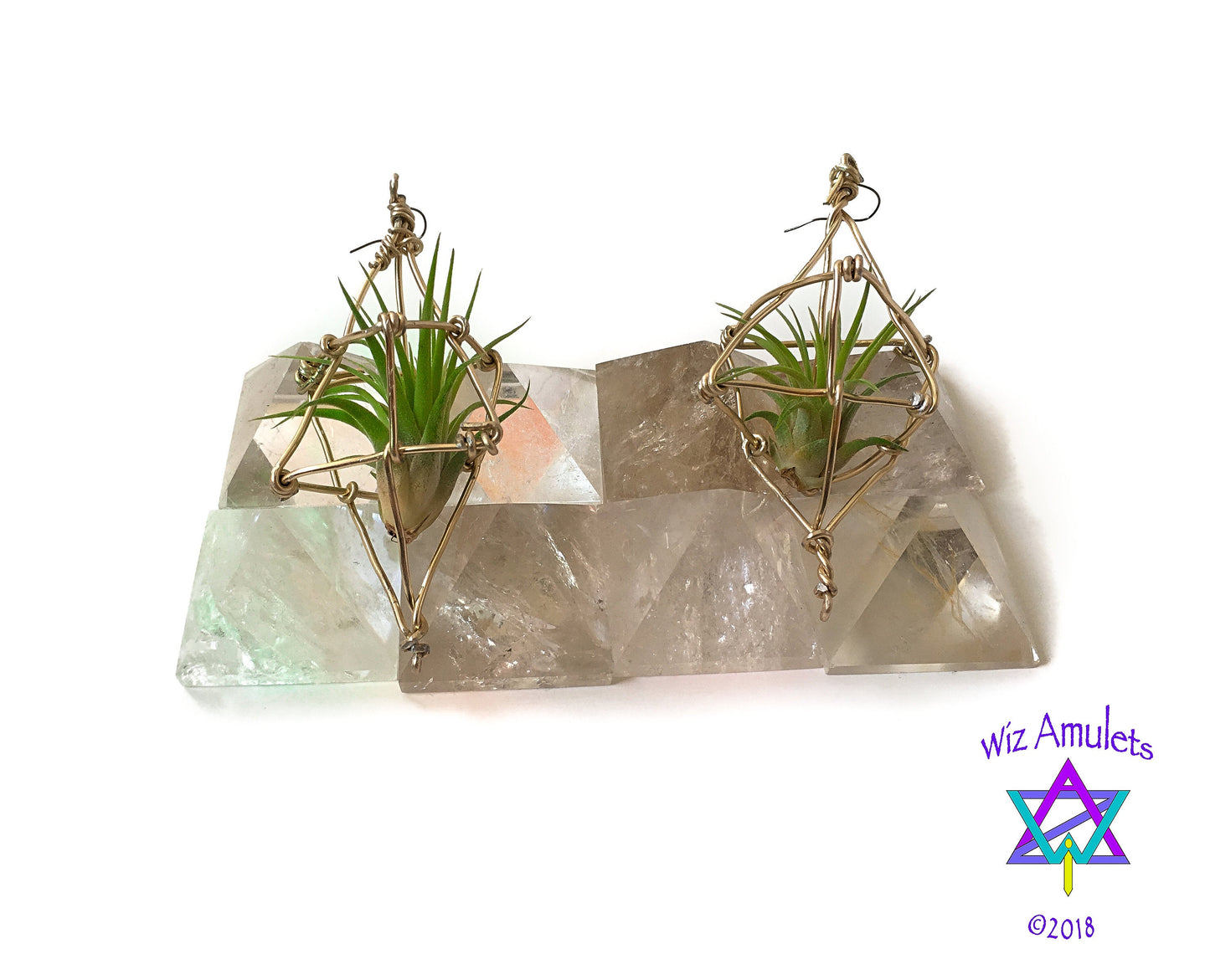 Merkaba Ascension Air Plant Earrings ~ 3D Polyhedron Geometric Earrings