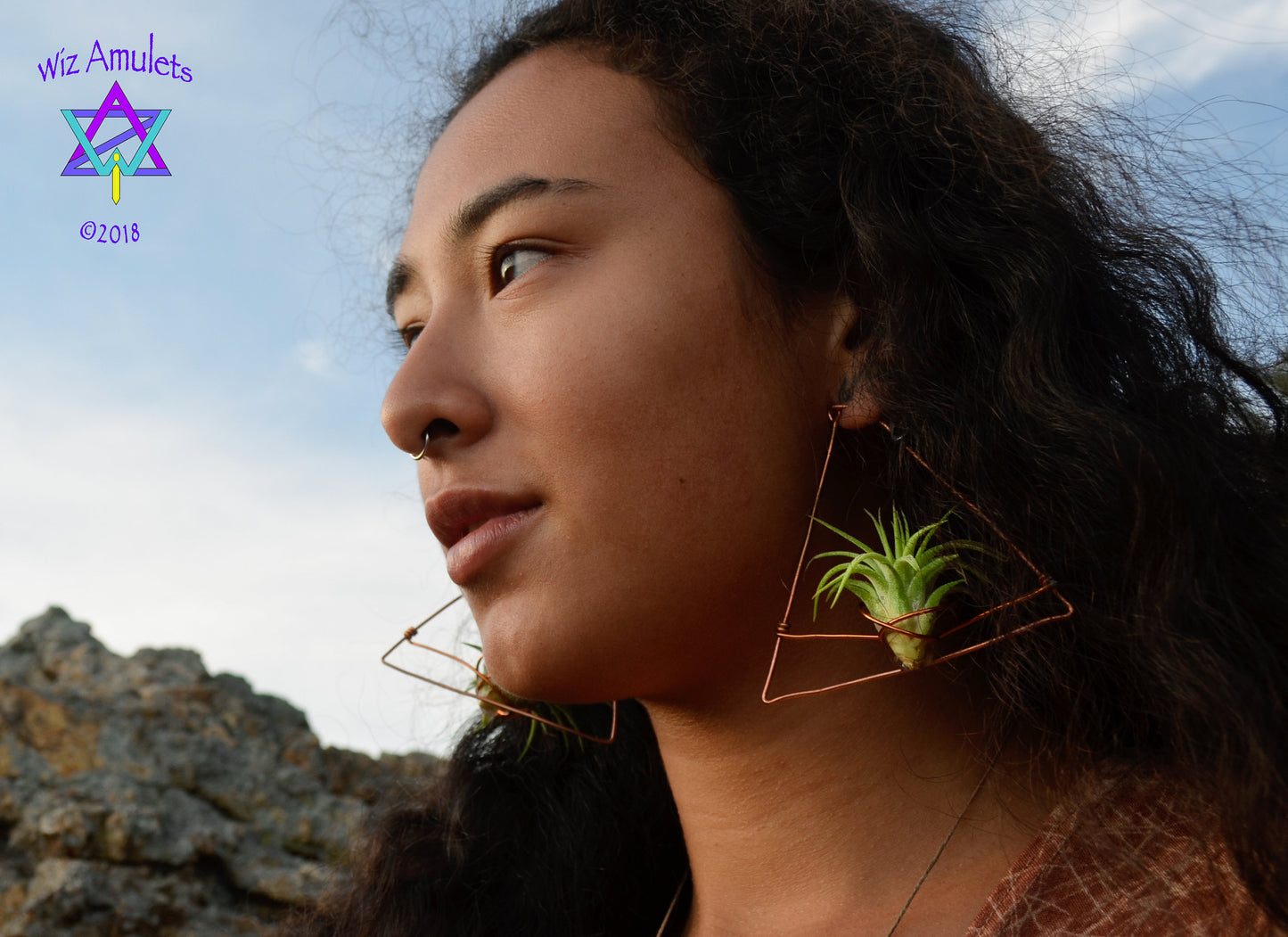 Triangular Air Plant Hoop Earrings ~ Geometric Tillandsia Earrings