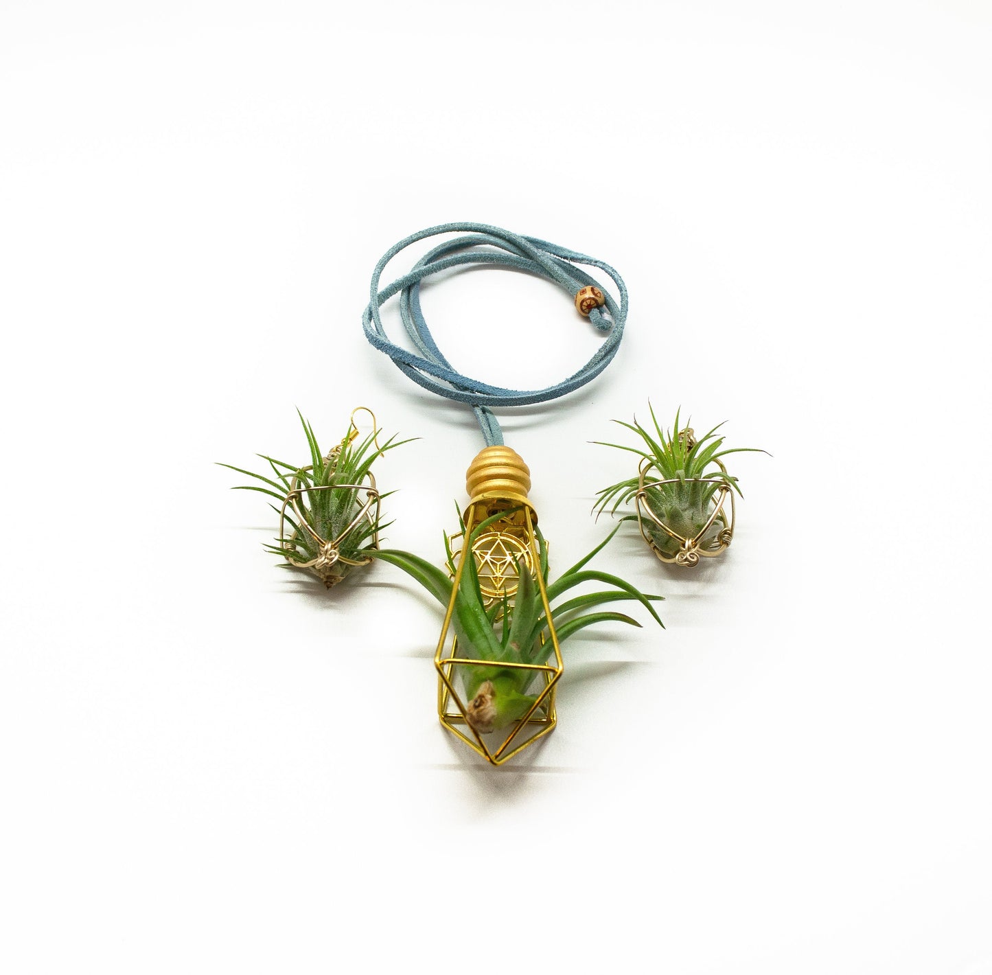Air Plant Earrings & Necklace Set