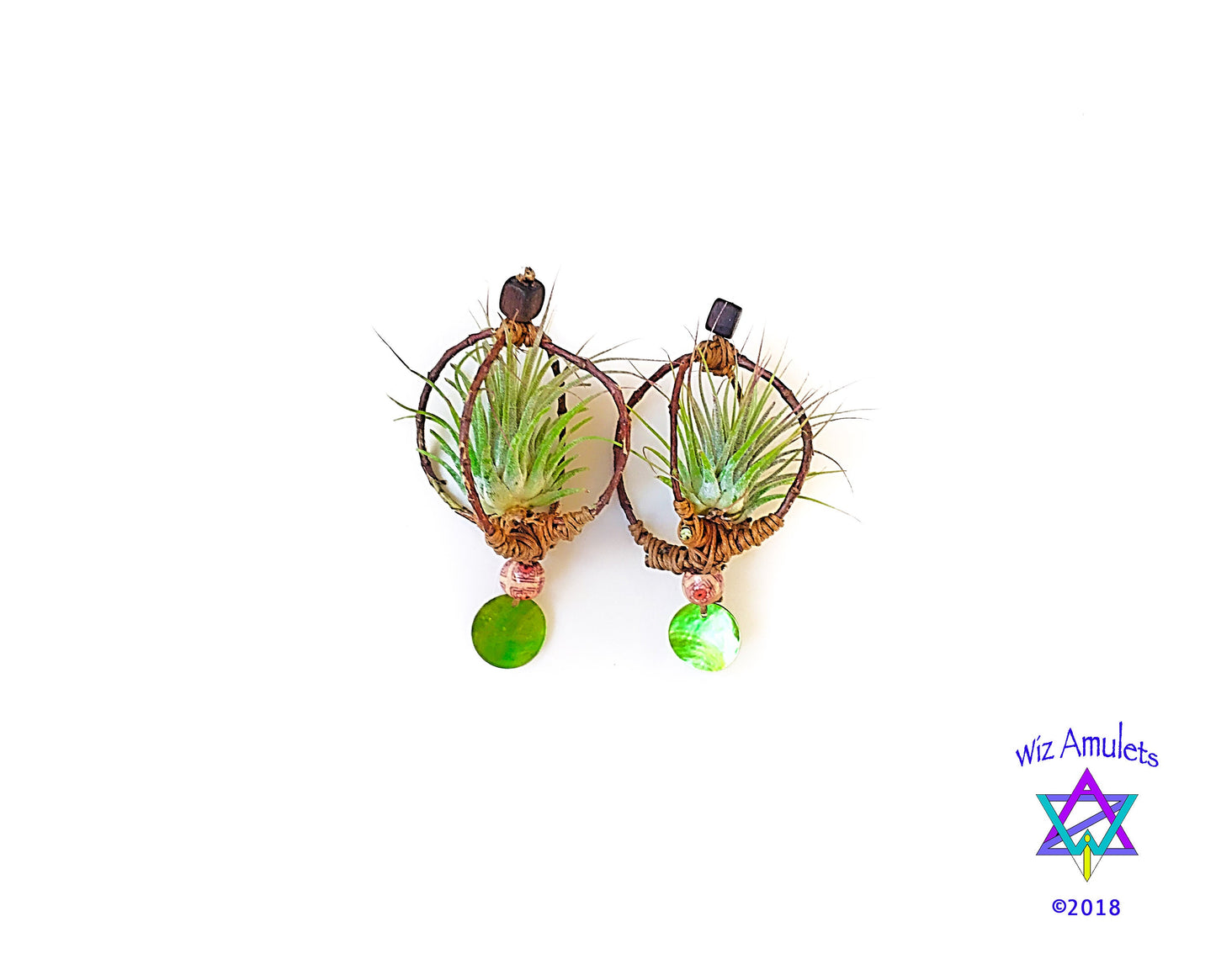 Air Plant Earrings Wood Branch Orb ~ Living Metal-Free Earrings