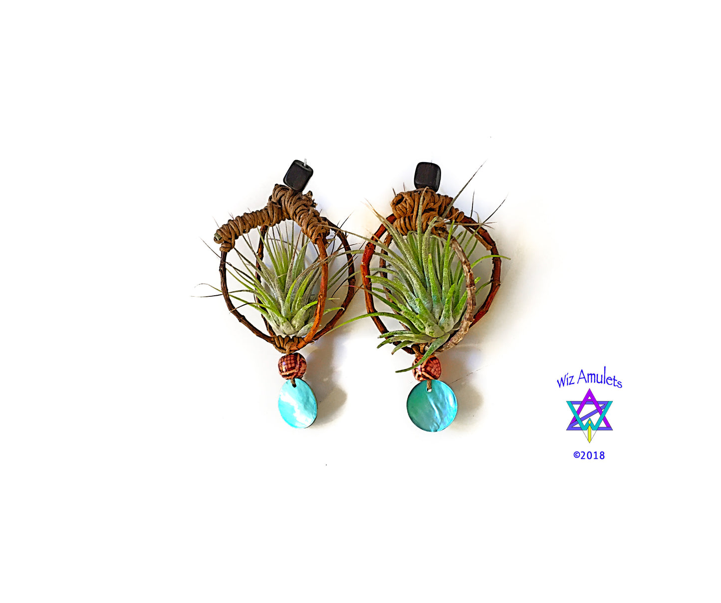 Air Plant Earrings Wood Branch Orb ~ Living Metal-Free Earrings