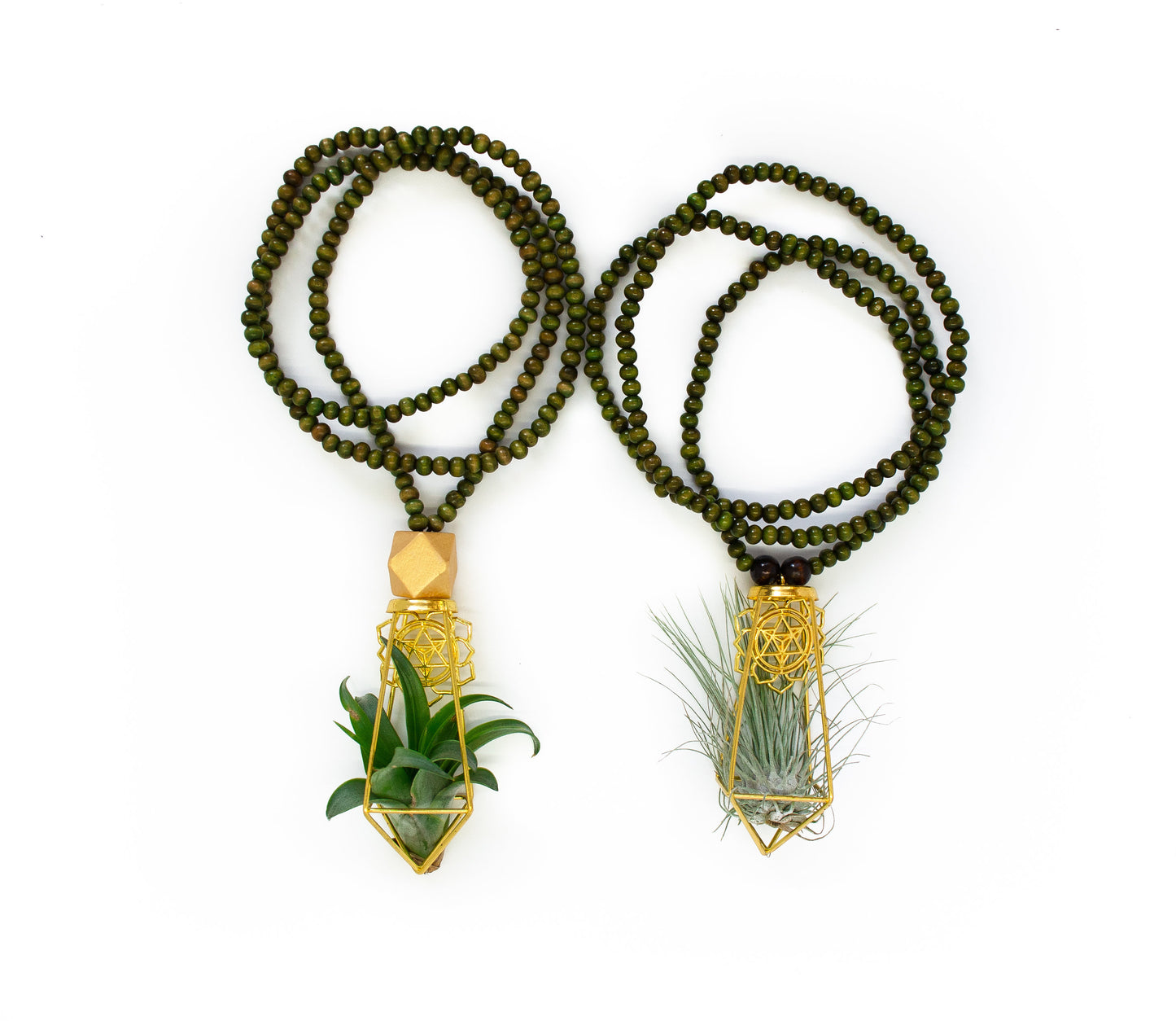 Air Plant Terrarium Sandalwood Bead Necklace ~ Buddha Monk Prayer Beads