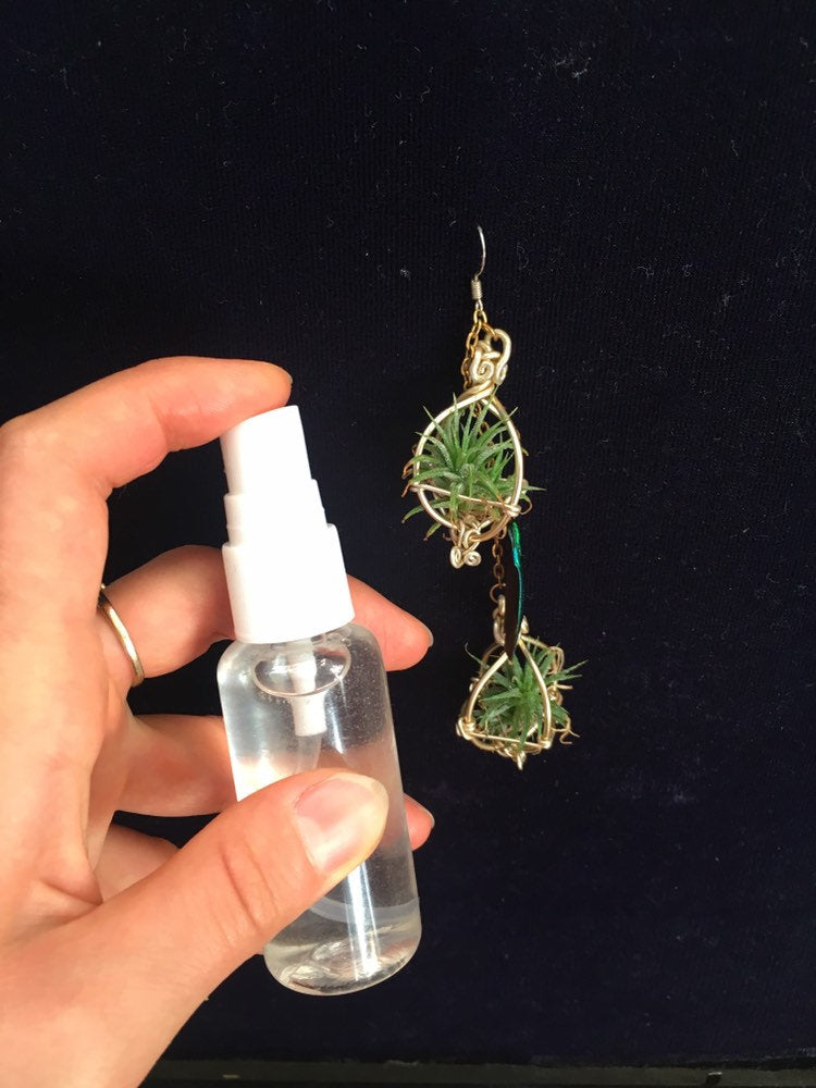 Air Plant Hydration Mist Water Spray Bottle w/ Sacred Geometry