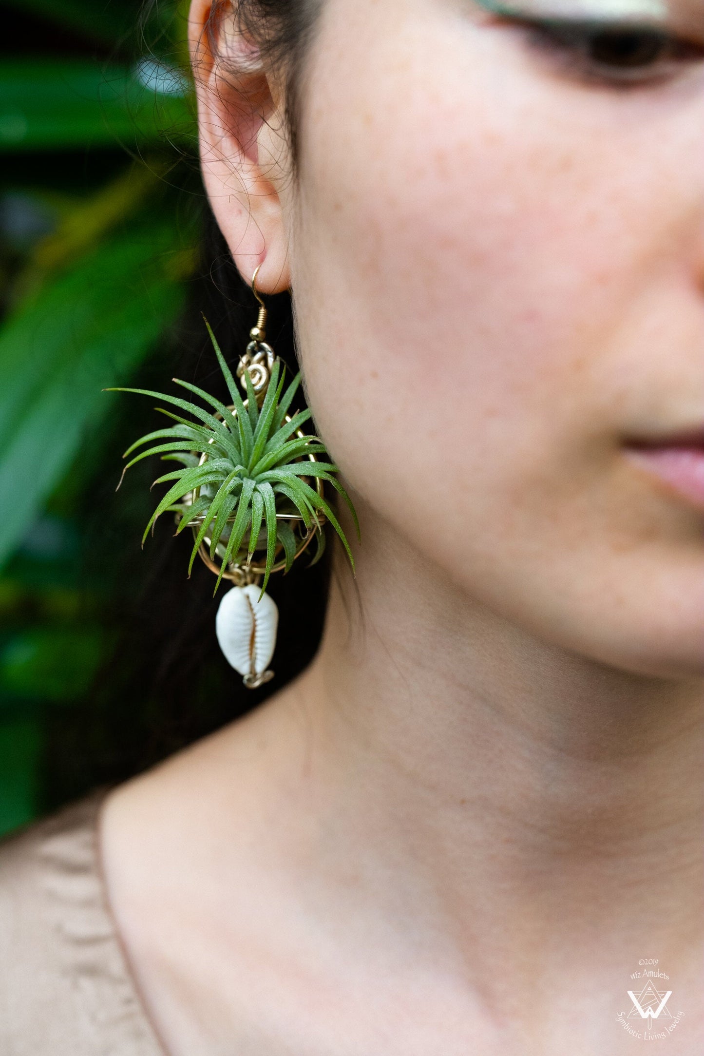 Air Plant Original Orb Earrings