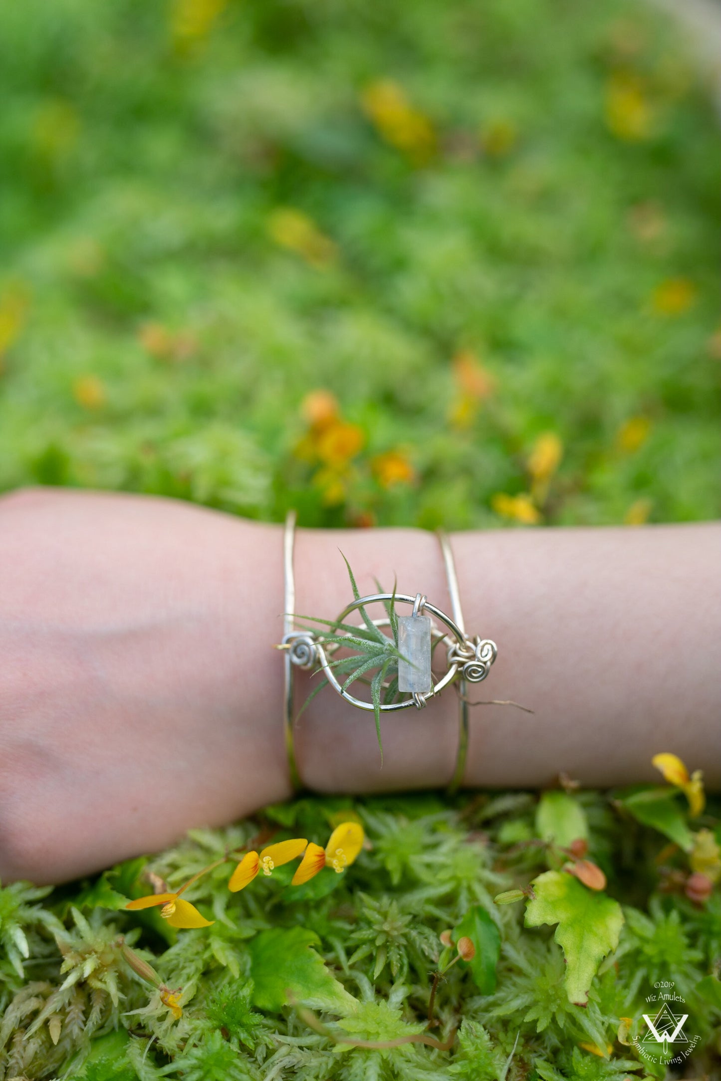Air Plant Cuff Bracelet ~ Corsage Terrarium ~Anklet + Crystal Pyramid