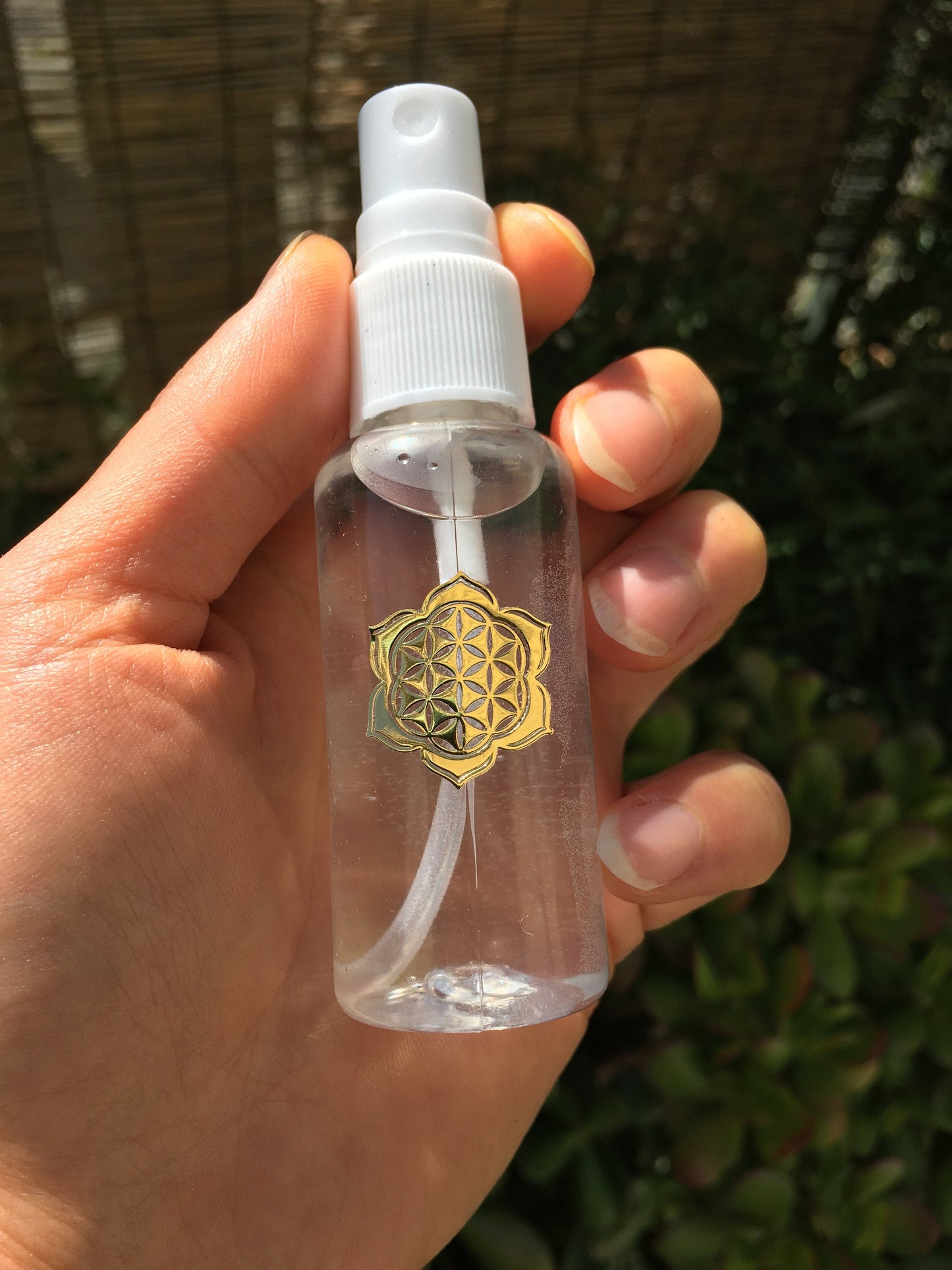 Air Plant Hydration Mist Water Spray Bottle w/ Sacred Geometry