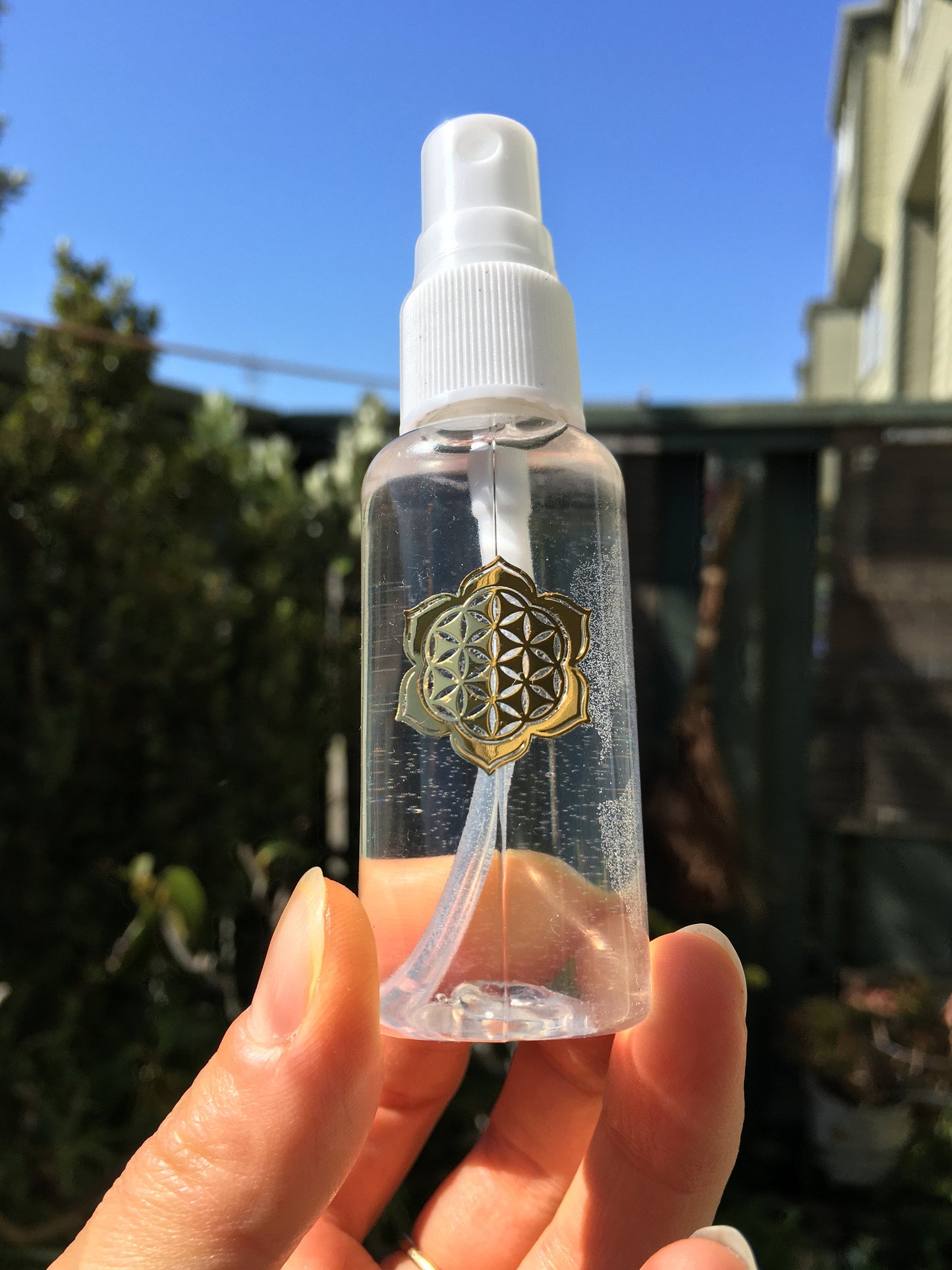 Air Plant Hydration Mist Water Spray Bottle w/ Sacred Geometry