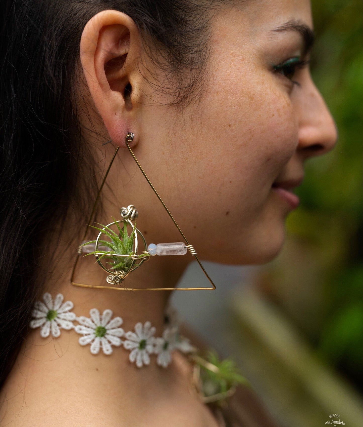 Triangular Air Plant Hoop Earrings ~ Geometric Tillandsia Earrings