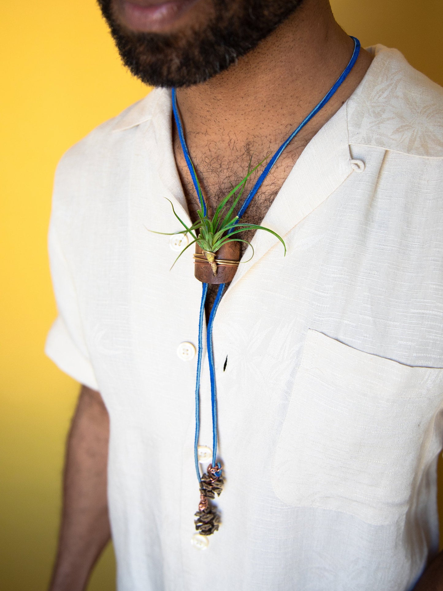 Living Air Plant Bolo Tie + Pinecone Charms