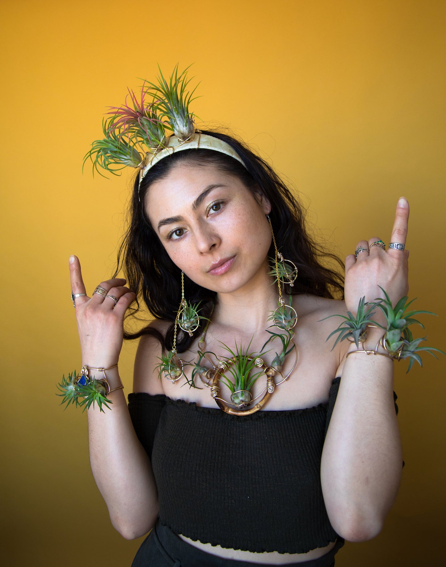 Air Plant Goddess Crown Wreath Headdress