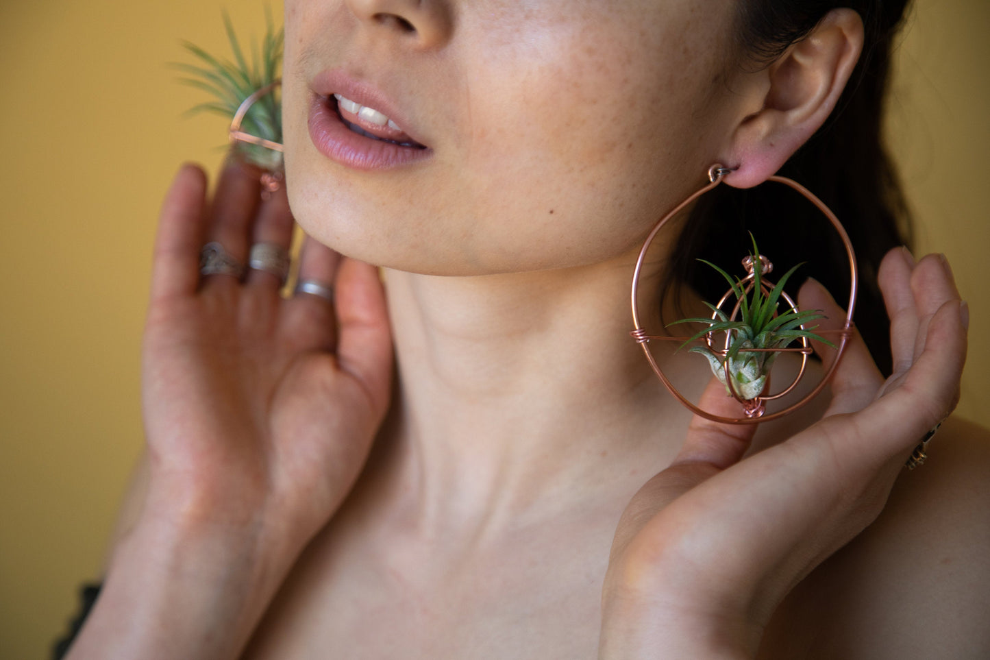Living Air Plant Living Hoop Earrings