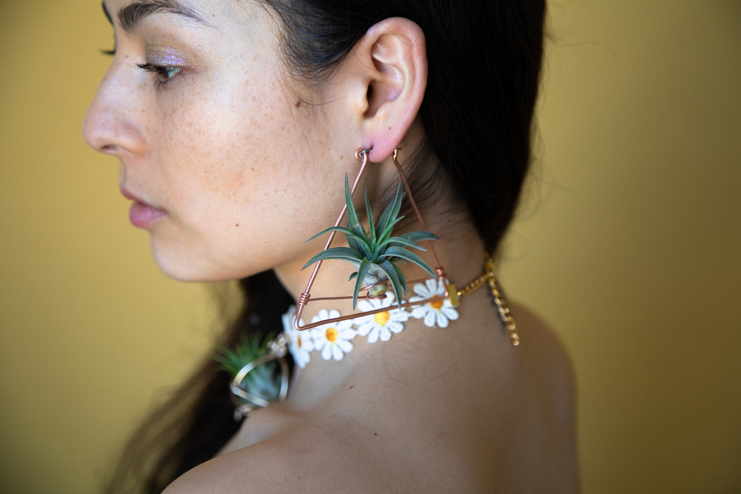 Triangular Air Plant Hoop Earrings ~ Geometric Tillandsia Earrings
