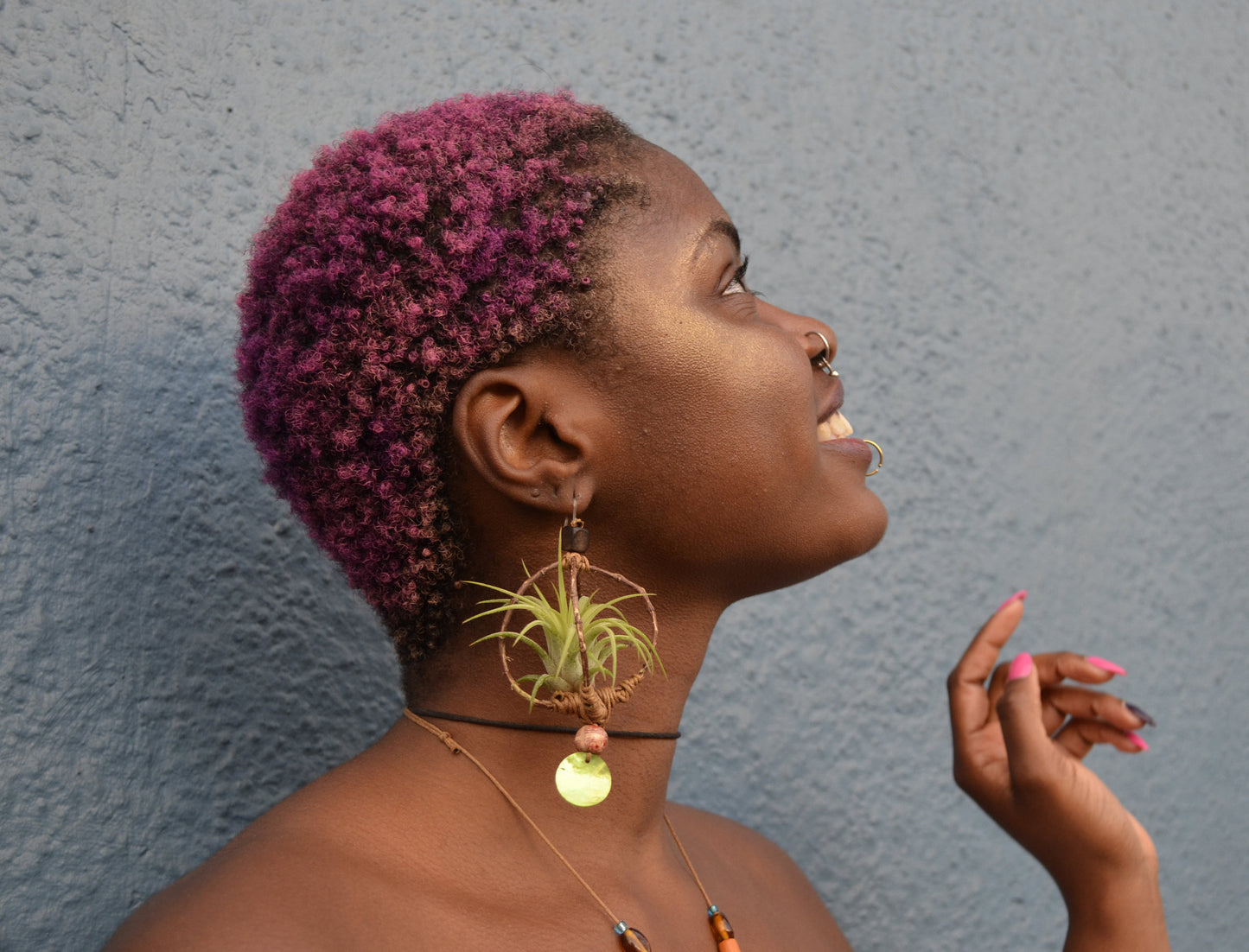 Air Plant Earrings Wood Branch Orb ~ Living Metal-Free Earrings